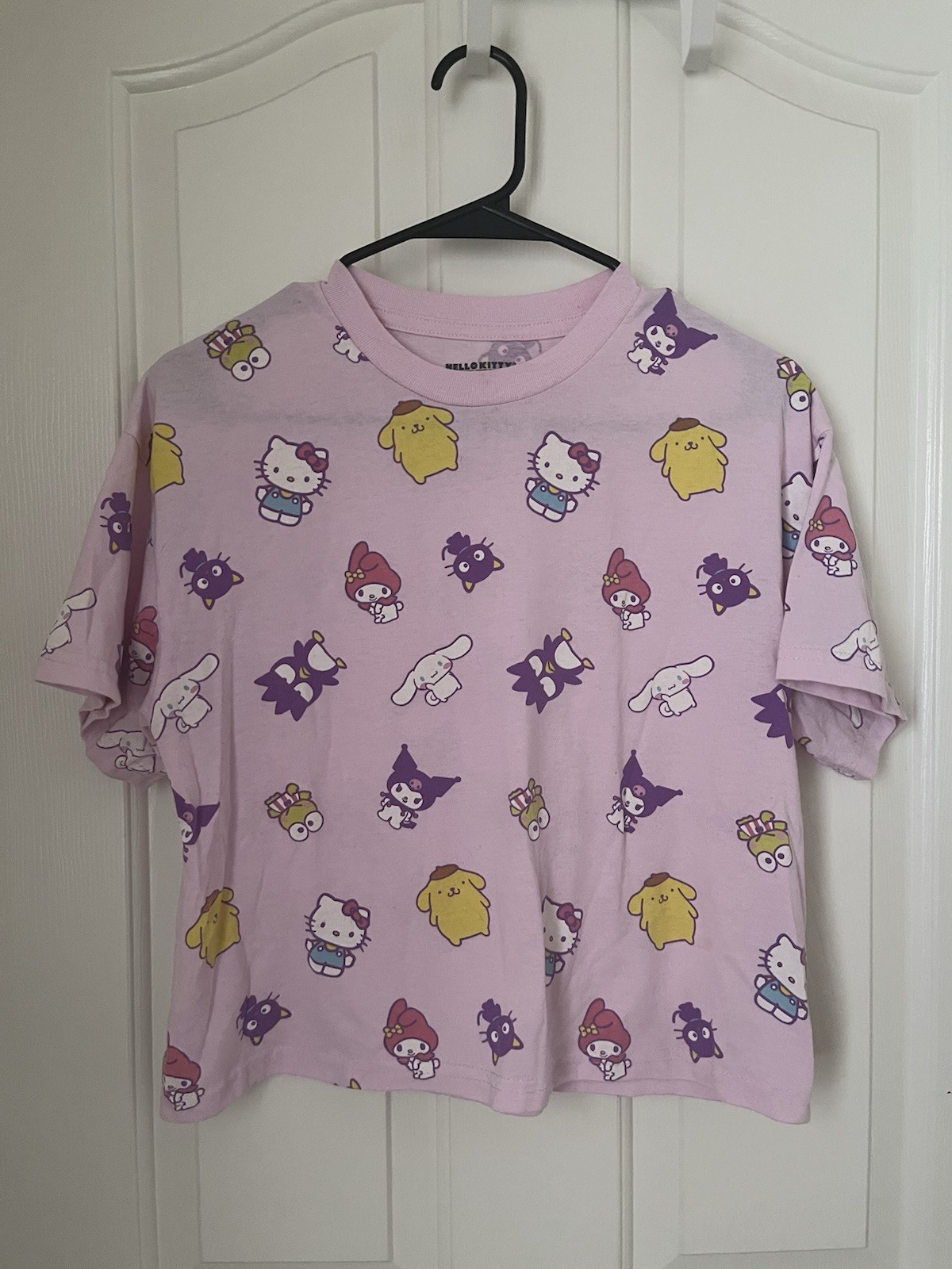 Sanrio Crop Tops Bundle