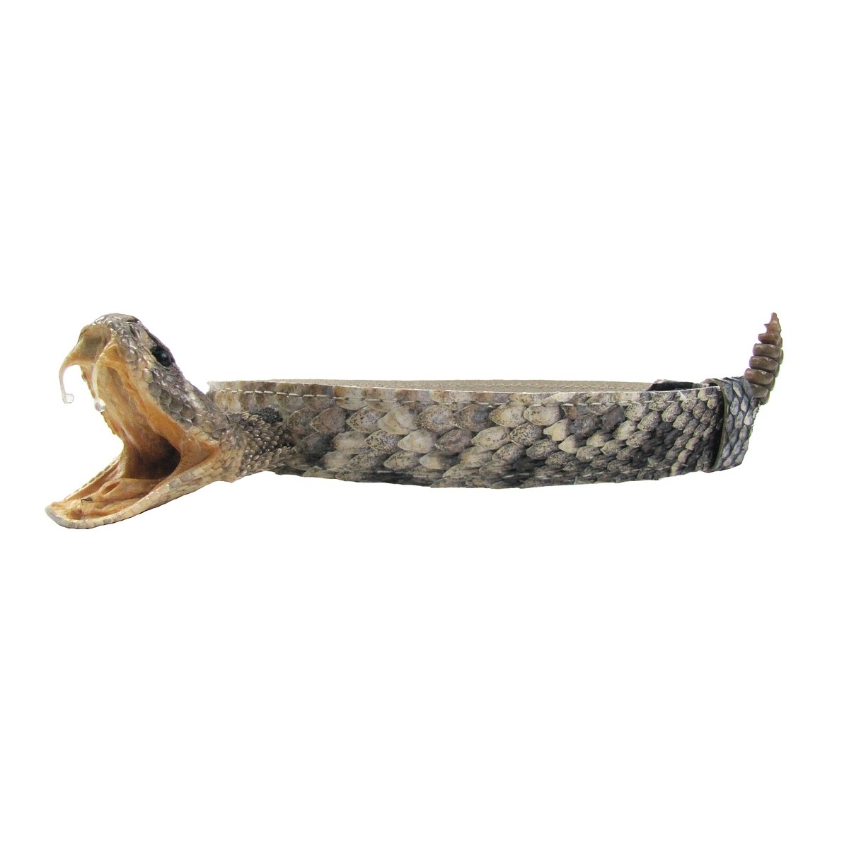 Real Rattlesnake Head Skin Western Cowboy Hat Band Wrap Genuine Snake Taxidermy