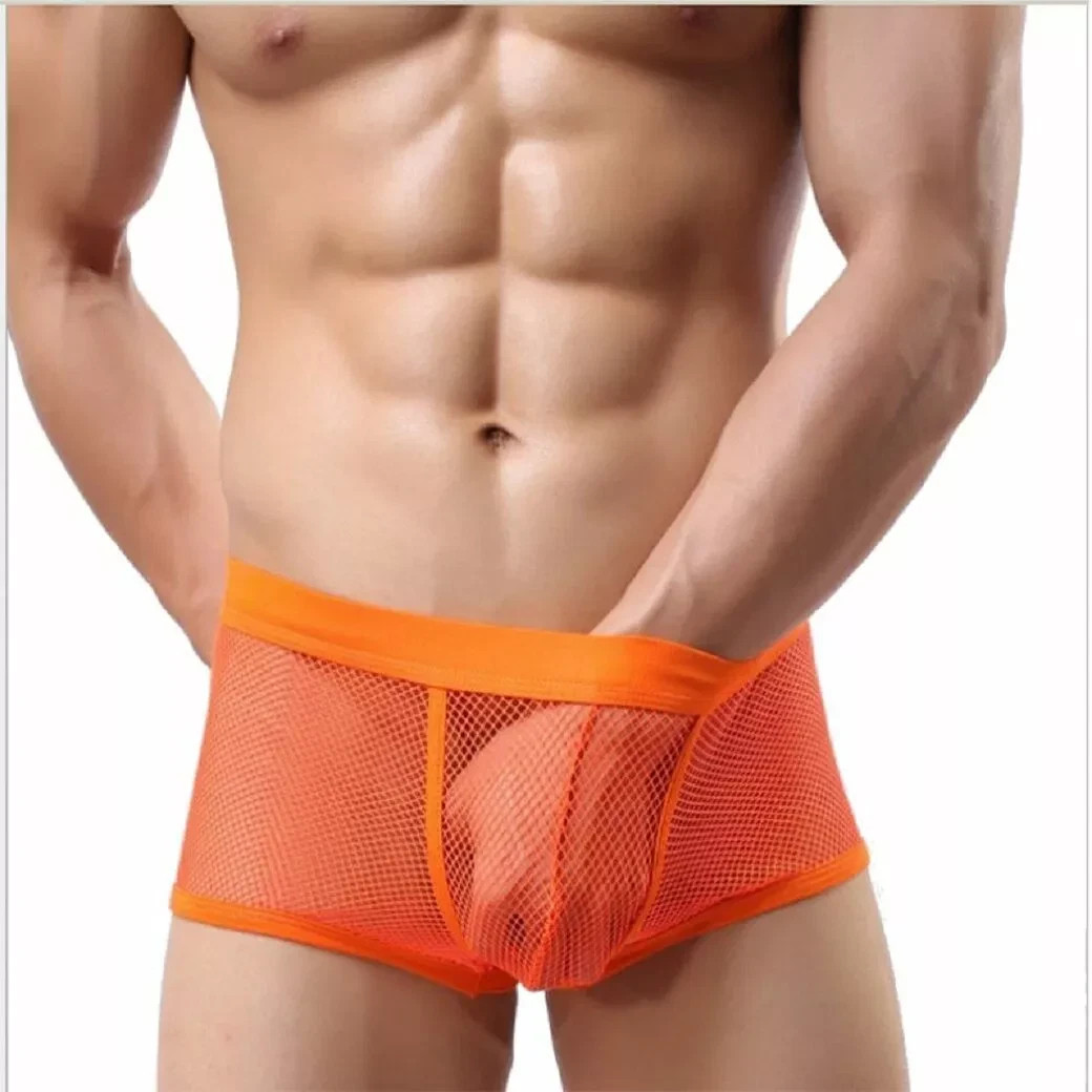 VARIOUS Men’s Sexy Transparent Spandex Fishnet Boxer Shorts – Adult Underwear