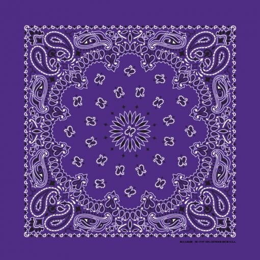 Purple Paisley 22x22in Hav-A-Hank Bandanna USA Made Bikers to Hikers Cup Holders