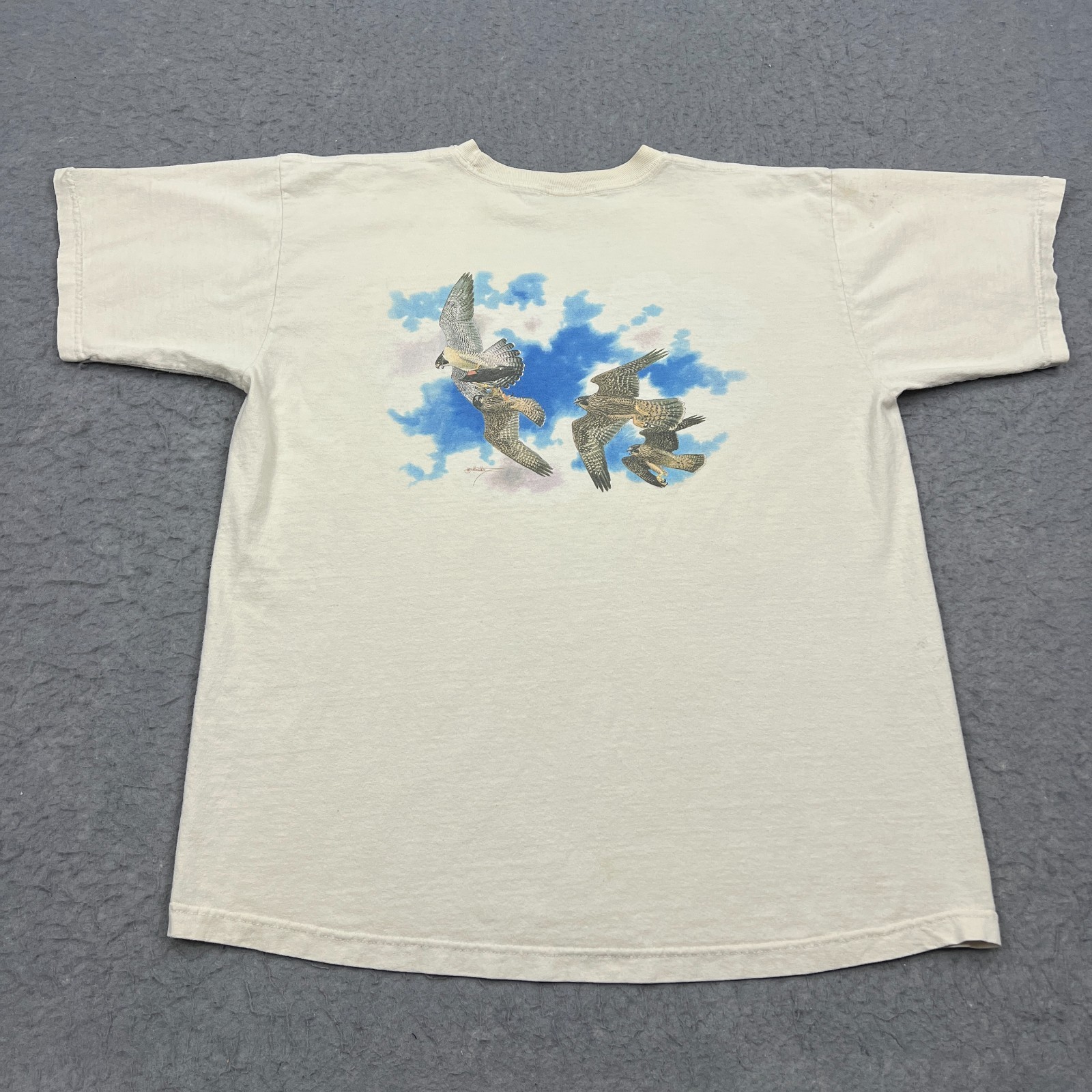 VTG Patagonia Beneficial T Peregrine Falcon Men’s Large White Crew Birds USA 90s