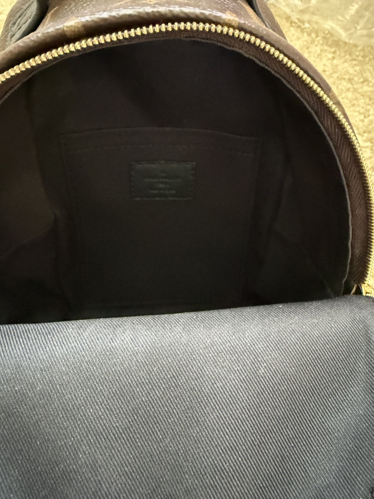 Louis Vuitton Palm Springs Backpack Mini Brown Canvas Monogram