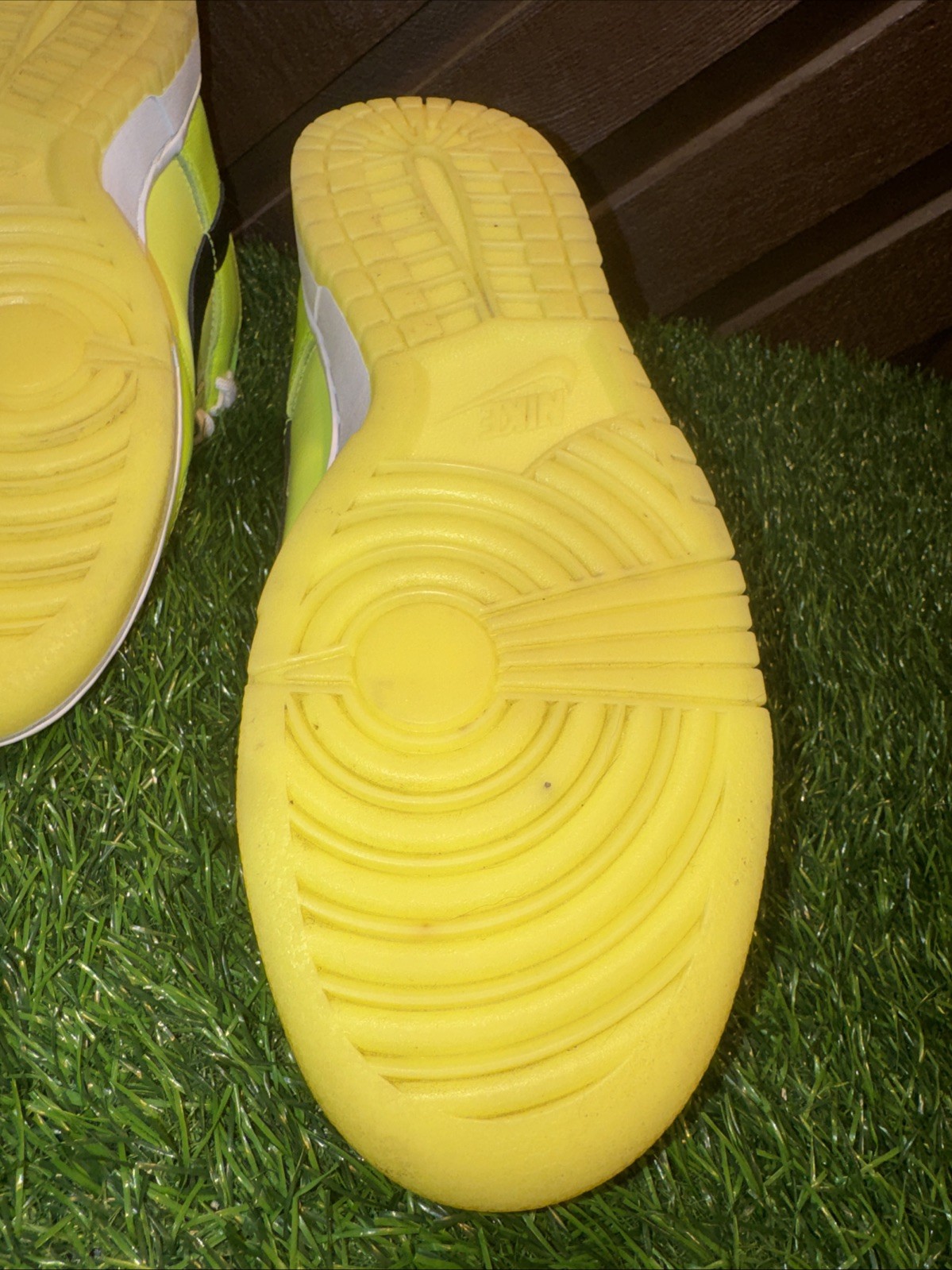 Size 10 – Nike Dunk SE Low Volt