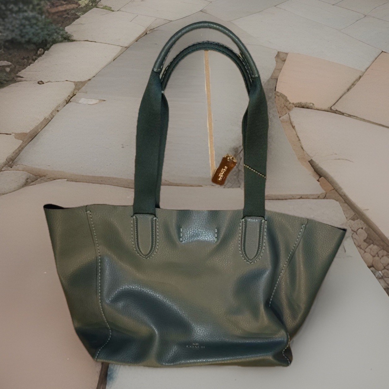 COACH Derby Tote 58660 Shoulder Bag Purse In Green Pebble Leather
