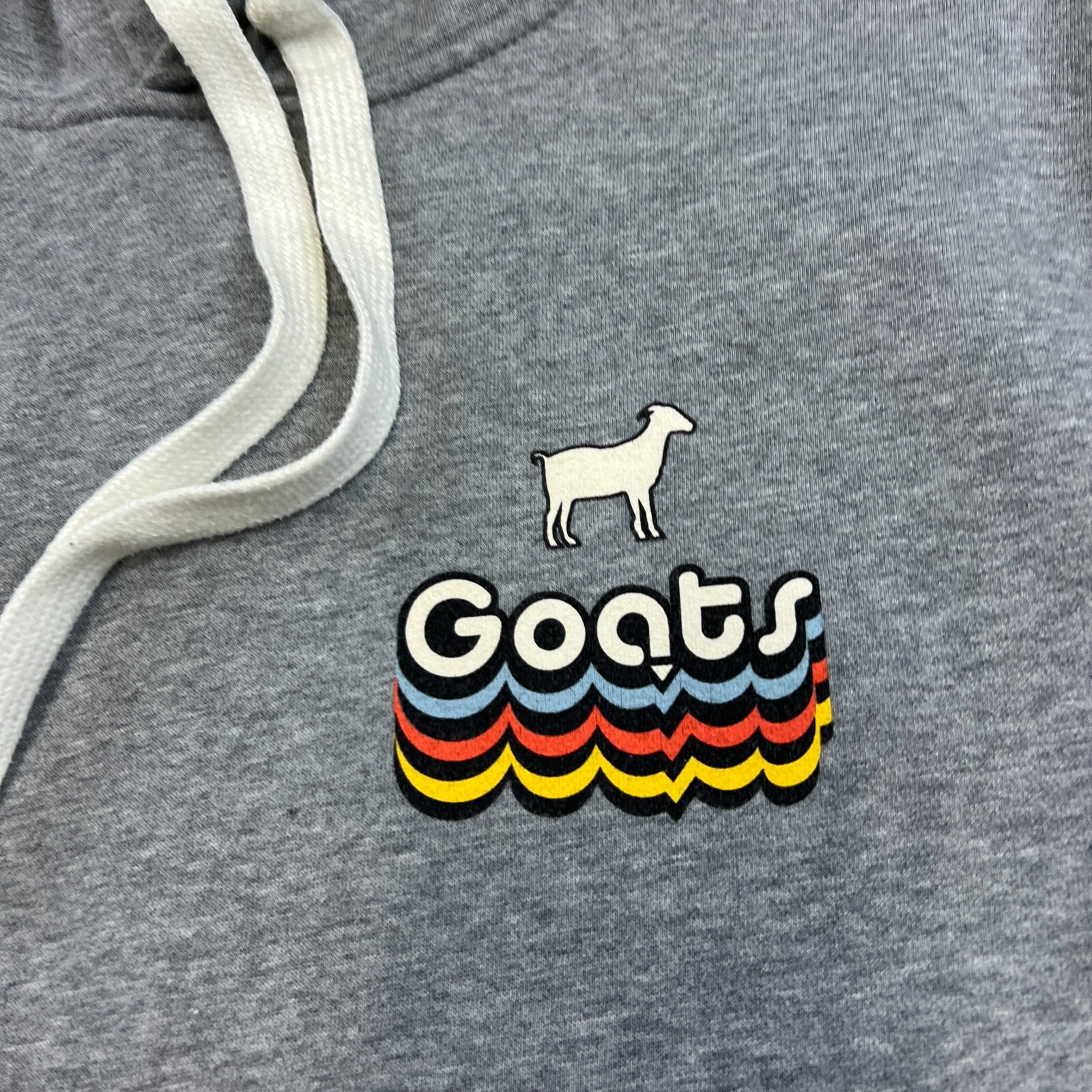 Champion Hoodie Sweatshirt Mens Large Gray GOATS Graphic Pocket Casual Leisure