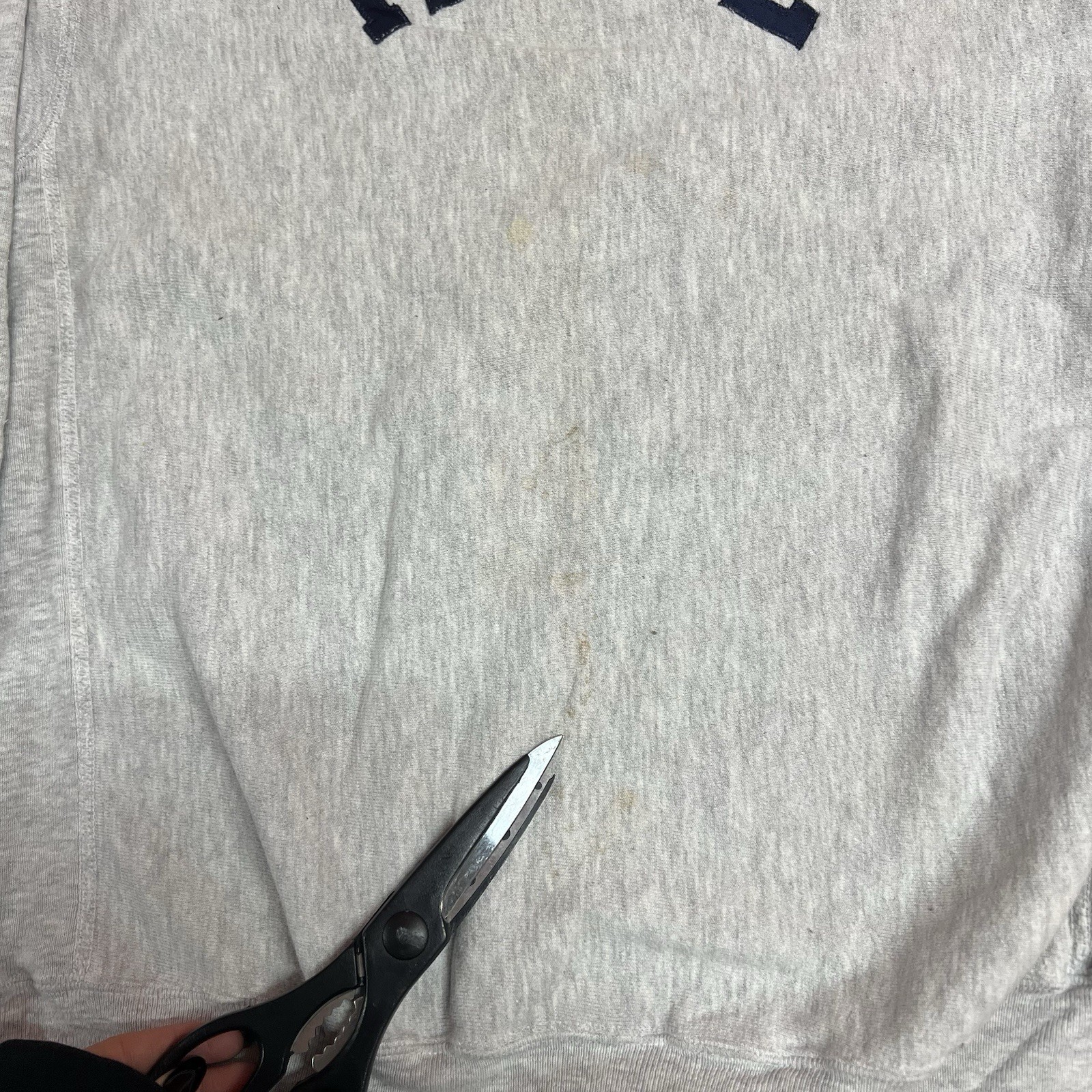 Vintage 90s Champion Reverse Weave PEDDIE The School Crewneck Sweatshirt Sz XL