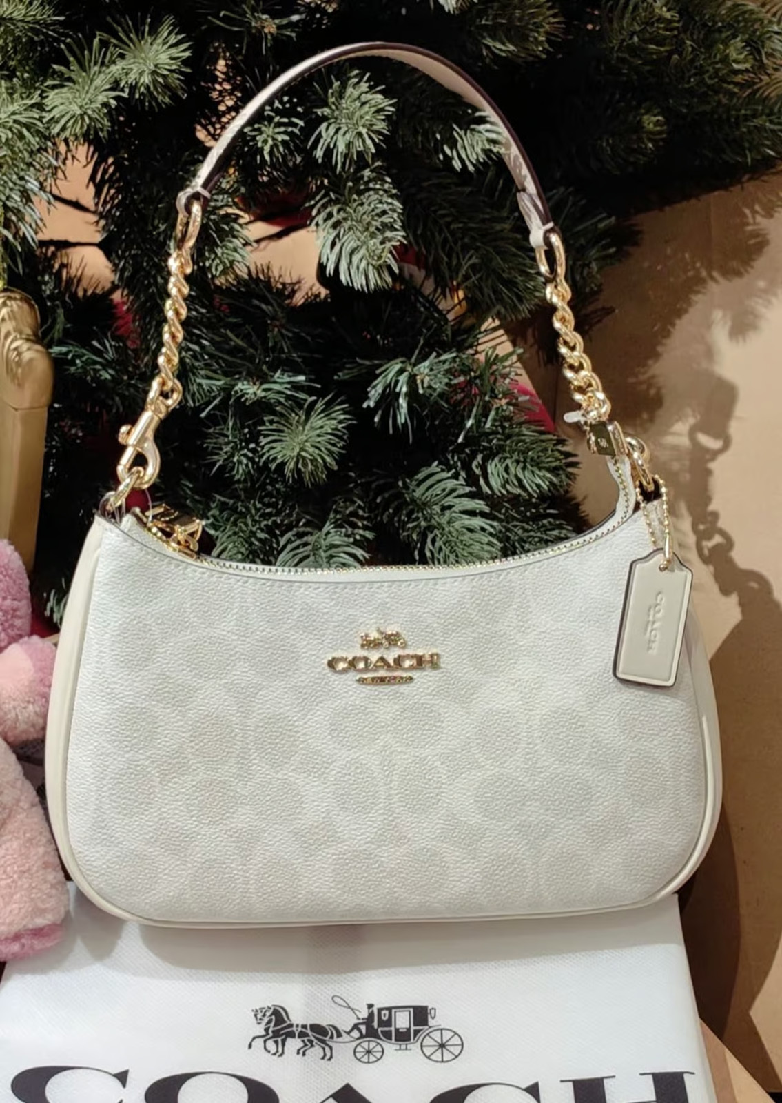 NWT Coach Teri Shoulder Bag In Signature Canvas CV933 Gold/White/Chalk