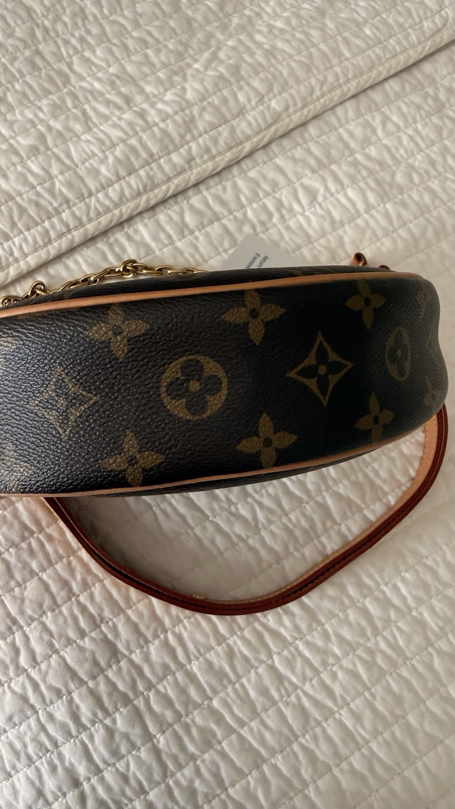 Louis Vuitton Loop Monogram 2024 microchipped