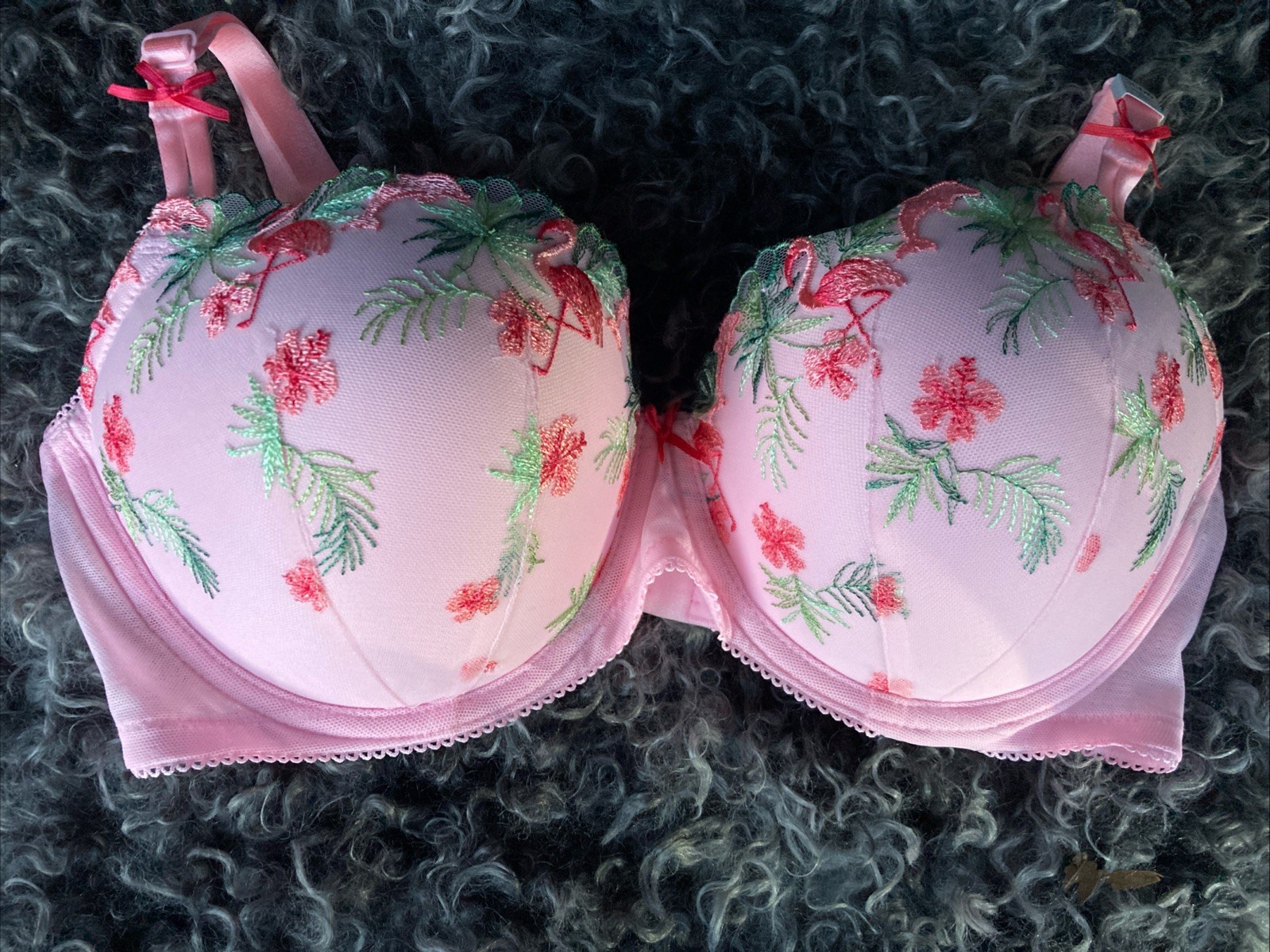 Victoria’s Secret Pink Wink Push-Up Flamingo Embroidery Bra 36DD NEW