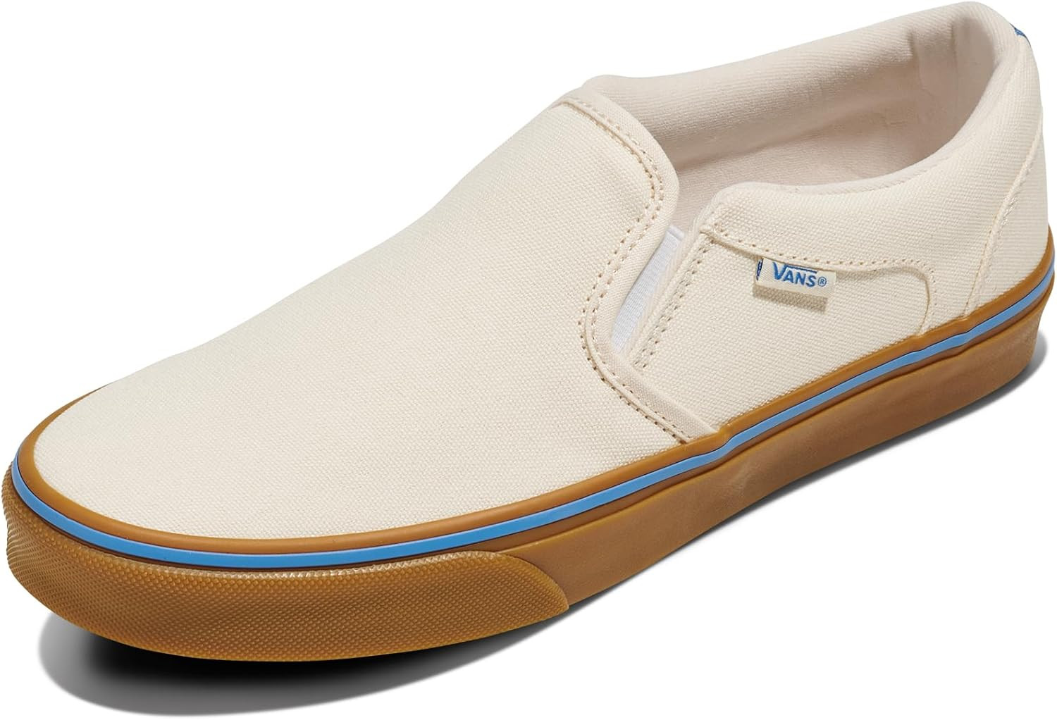 Vans Men’S Asher Slip-On Shoe