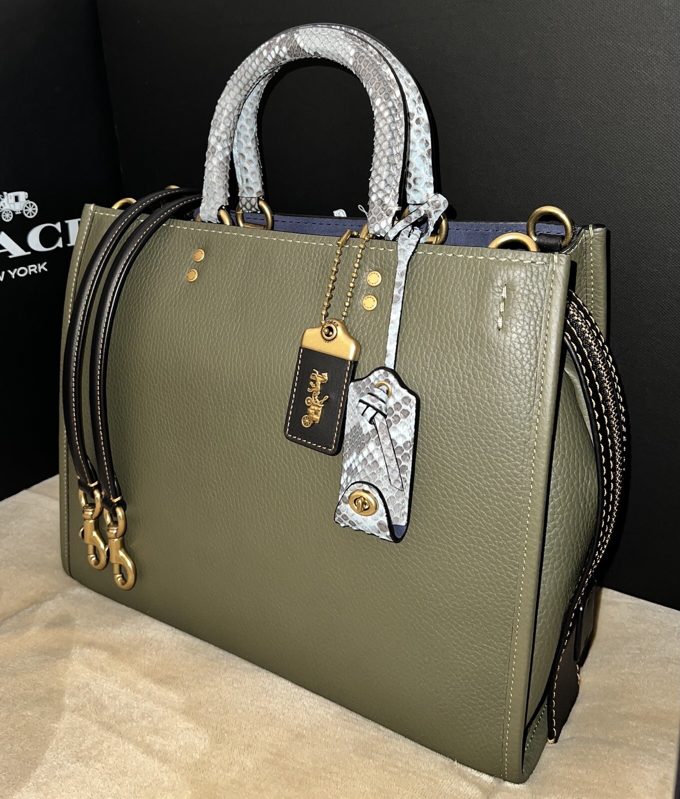 Coach 1941 MTO Rogue Bag In Colorblock With Snakeskin Detail, Style 59997, NWT!
