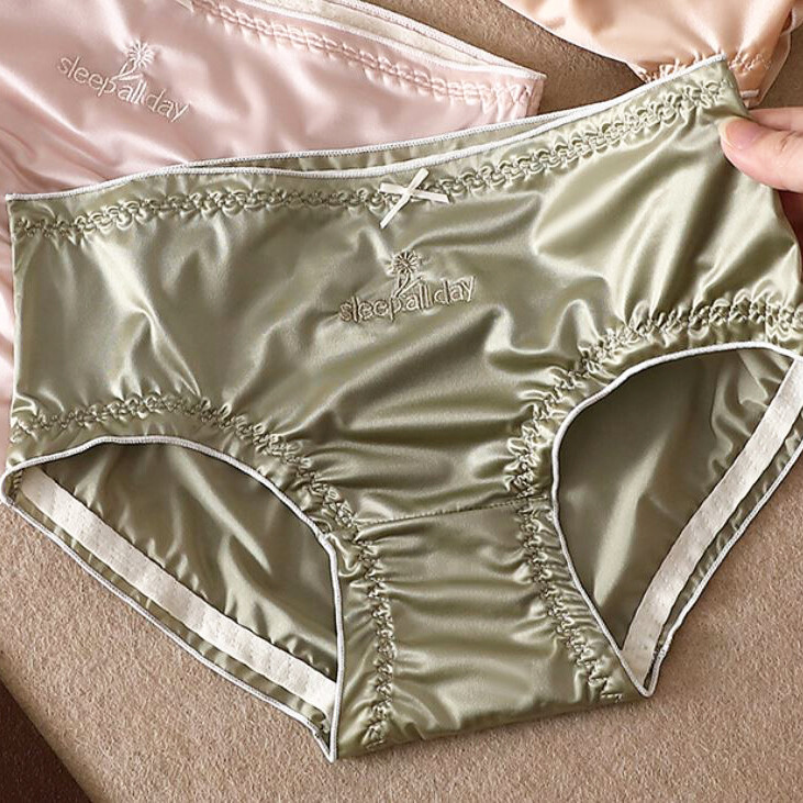 5 Pack Lot Sexy Womens Silky Satin Panties Underwear Ladies Lingeries Briefs