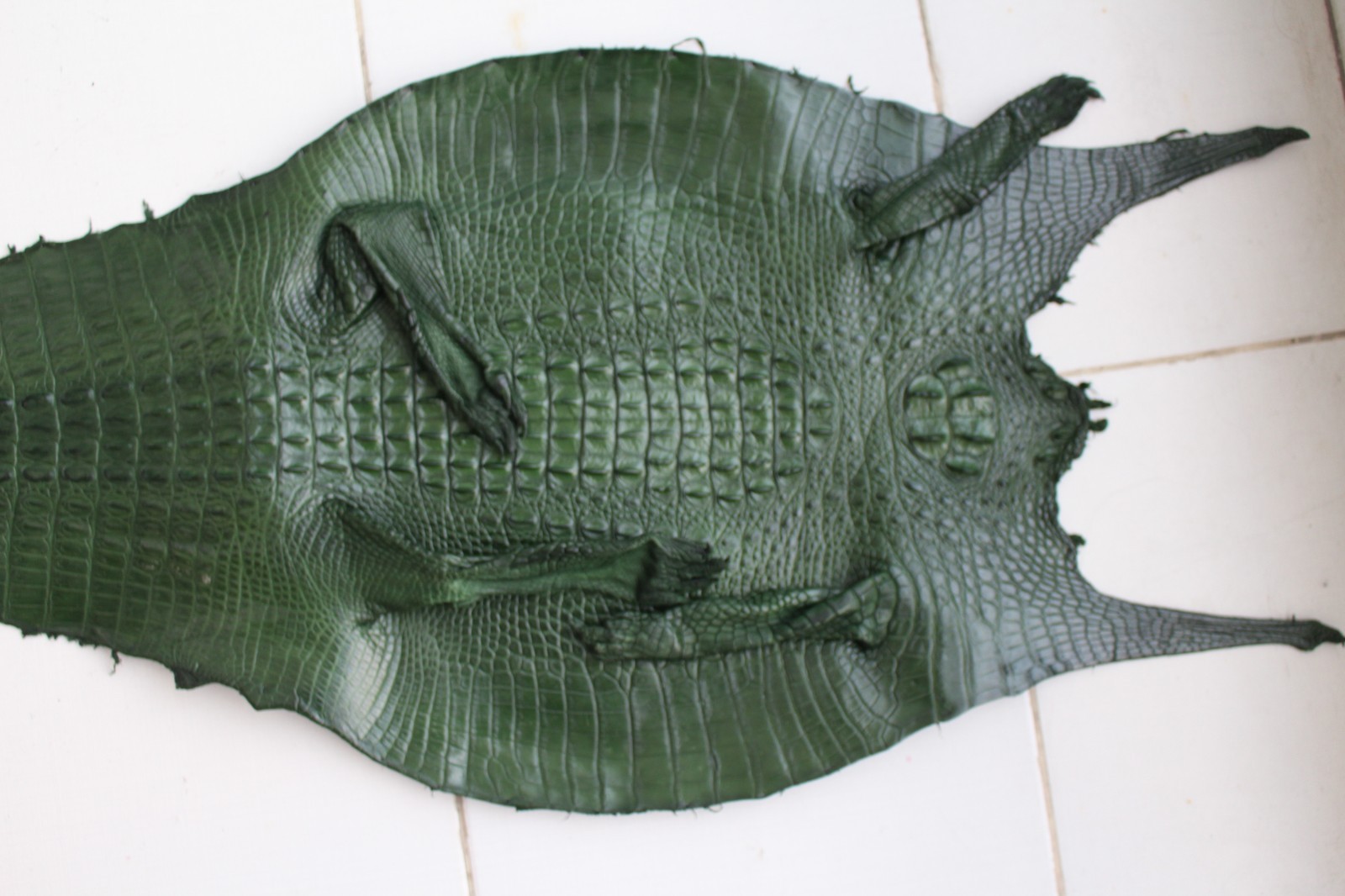 W 1.5 inch – Gray Genuine Crocodile Belly Leather Skin Men’s Belt #R42
