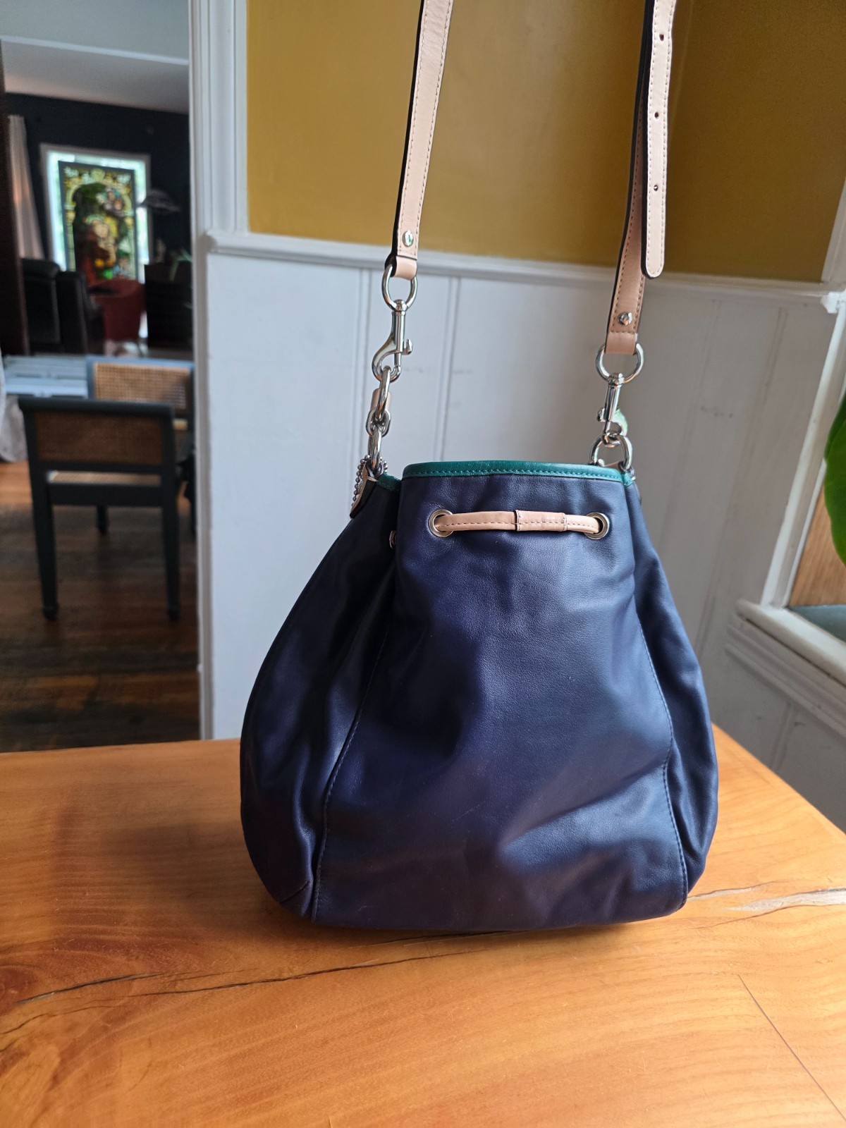 Coach Daisy Leather Drawstring Shoulder Bucket Bag Blue Green Tan Colorblock