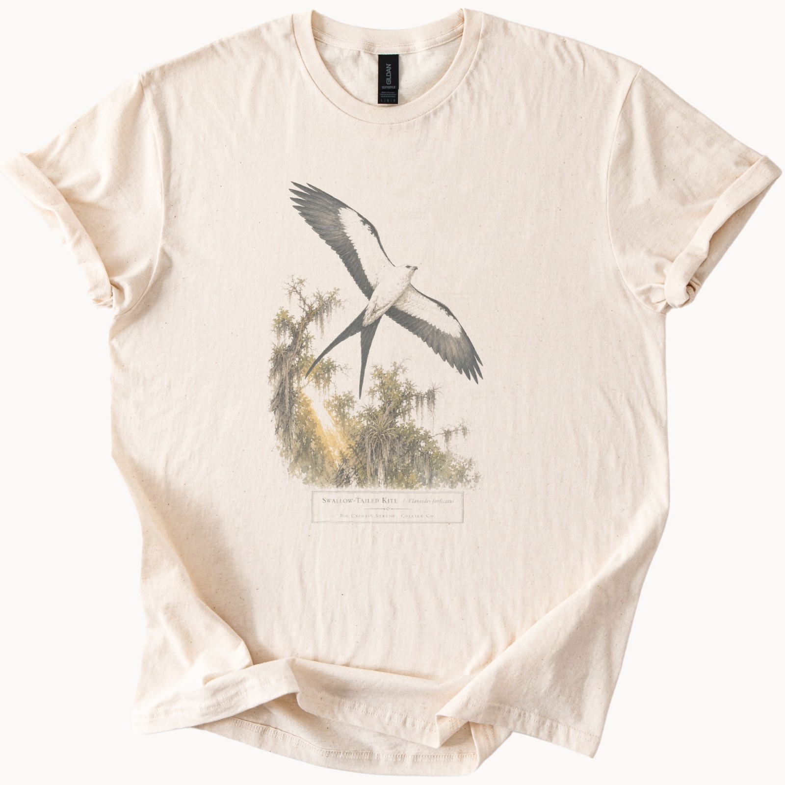 Watercolor Bird Tee Swallow-Tailed Kite Boho
