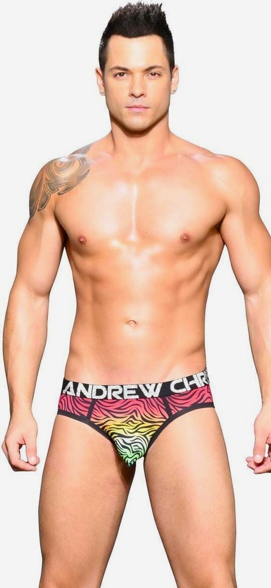 Andrew Christian Pride Zebra Brief – 91795 – Small, Medium & Large