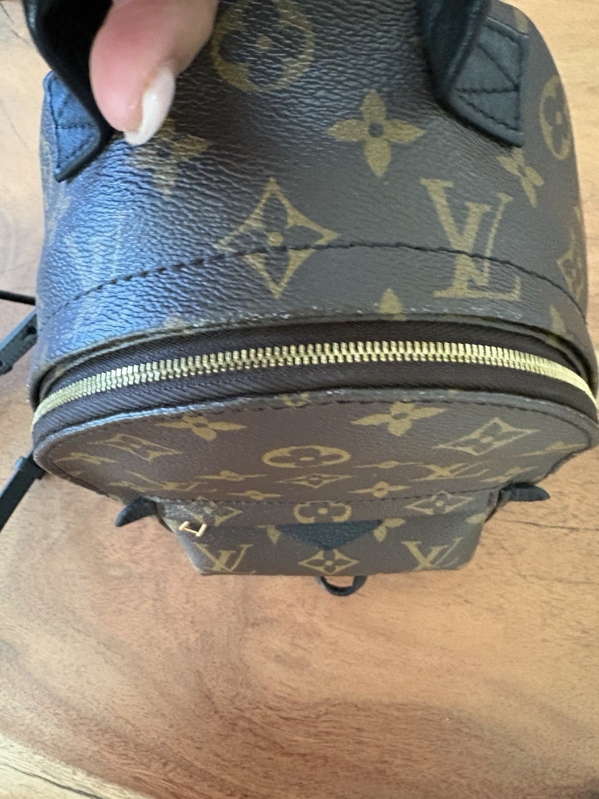 Louis Vuitton Palm Springs Backpack Mini Brown Canvas Monogram