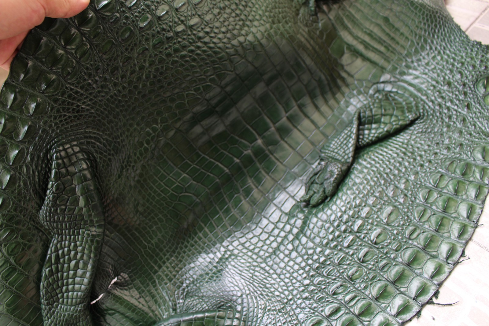 W 1.3 inch – Green Genuine Crocodile Belly Leather Skin Men’s Belt #L50