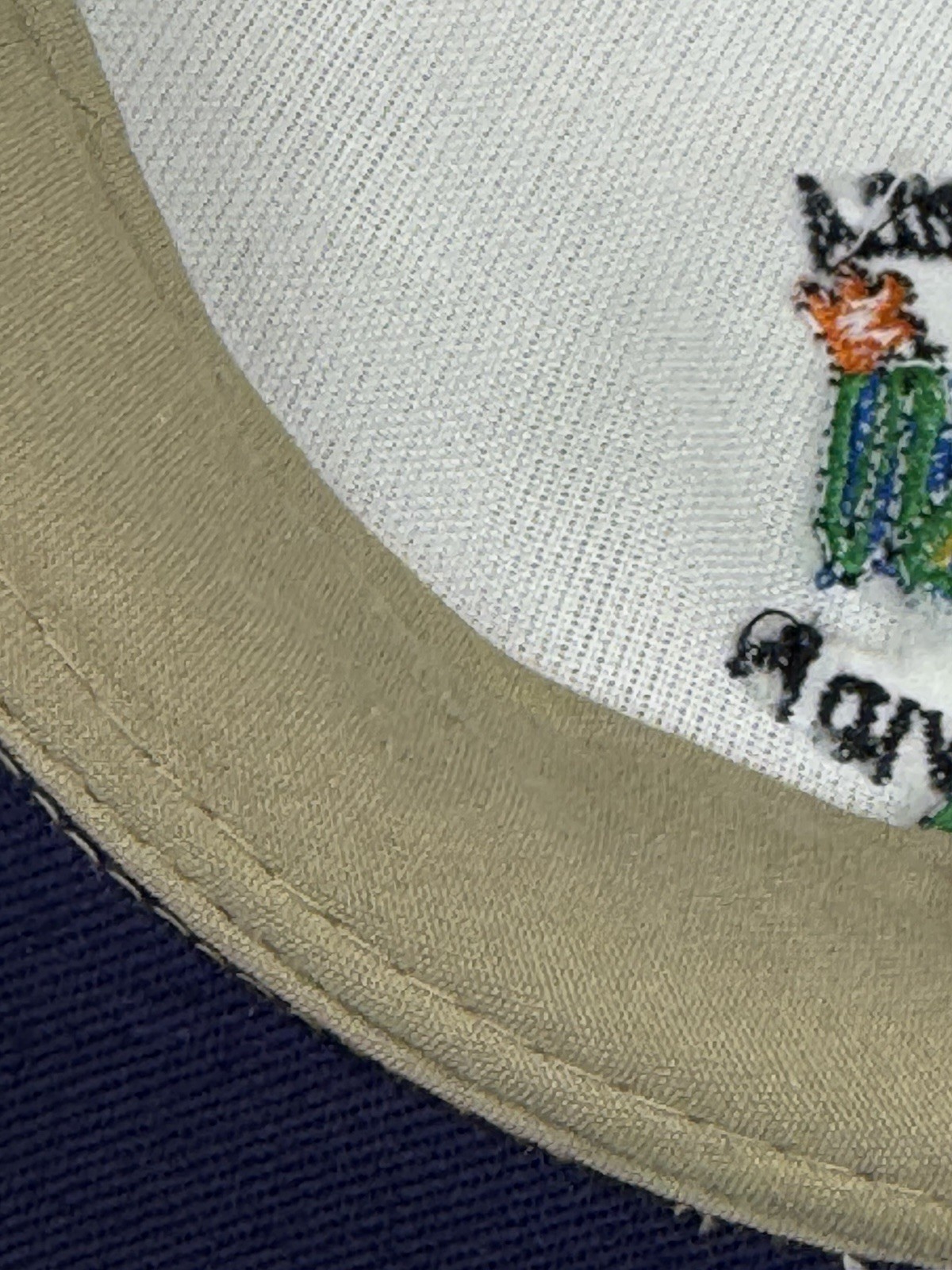 Unbranded Costa Rica Frog Beige Navy Strapback Hat Pura Vida Embroidered Cap