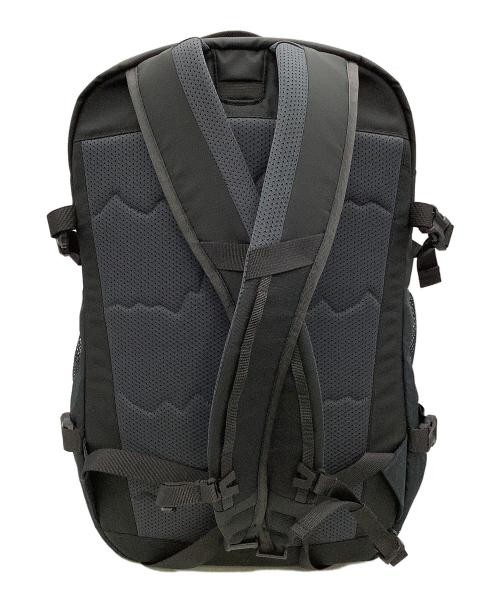 Patagonia Backpack Refugio Daypack 30L gray 47929SP26