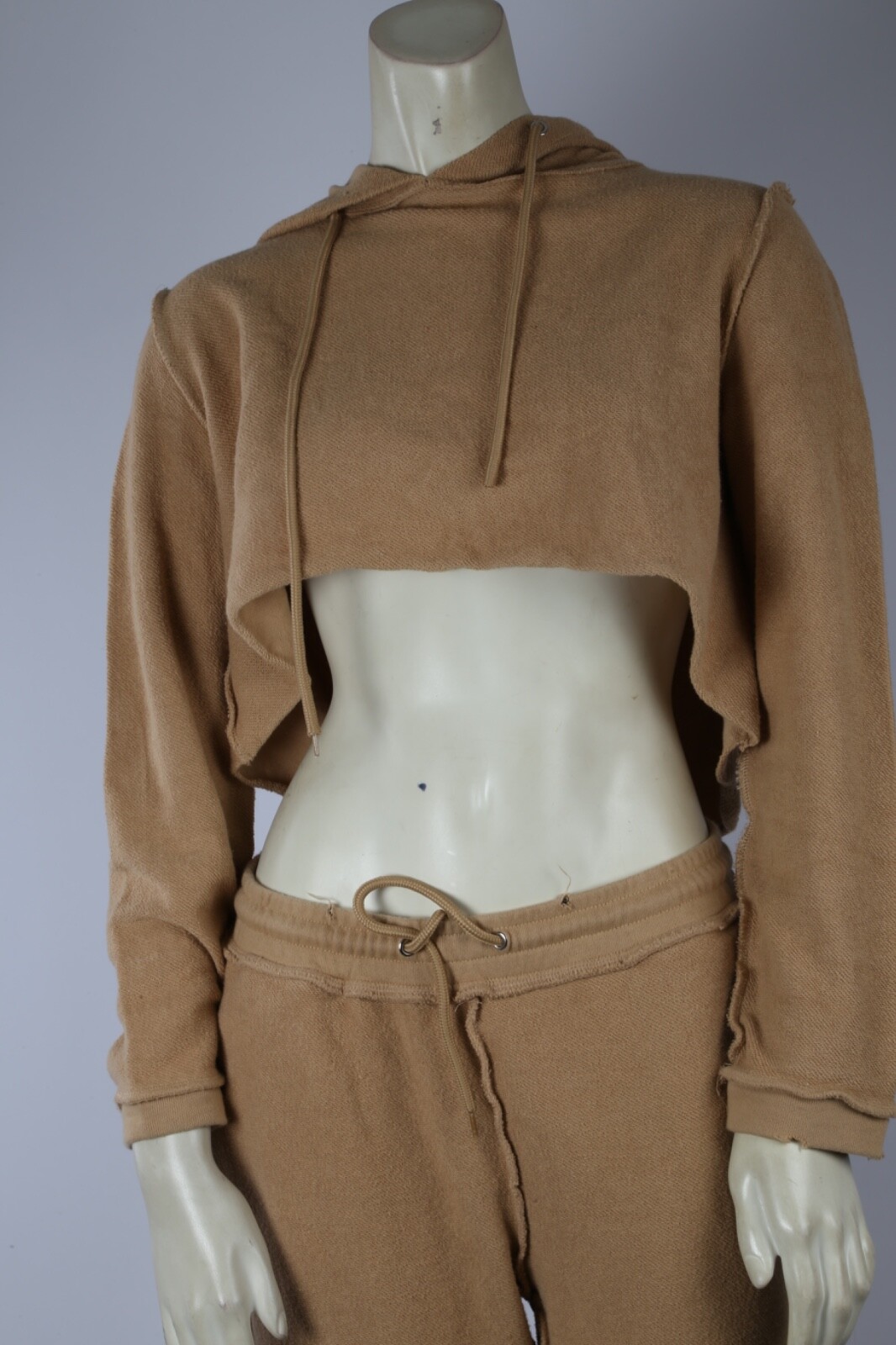 Danielle Guizio Beige 2 Piece Cropped Hoodie Jogger Pants Suit Set Size L