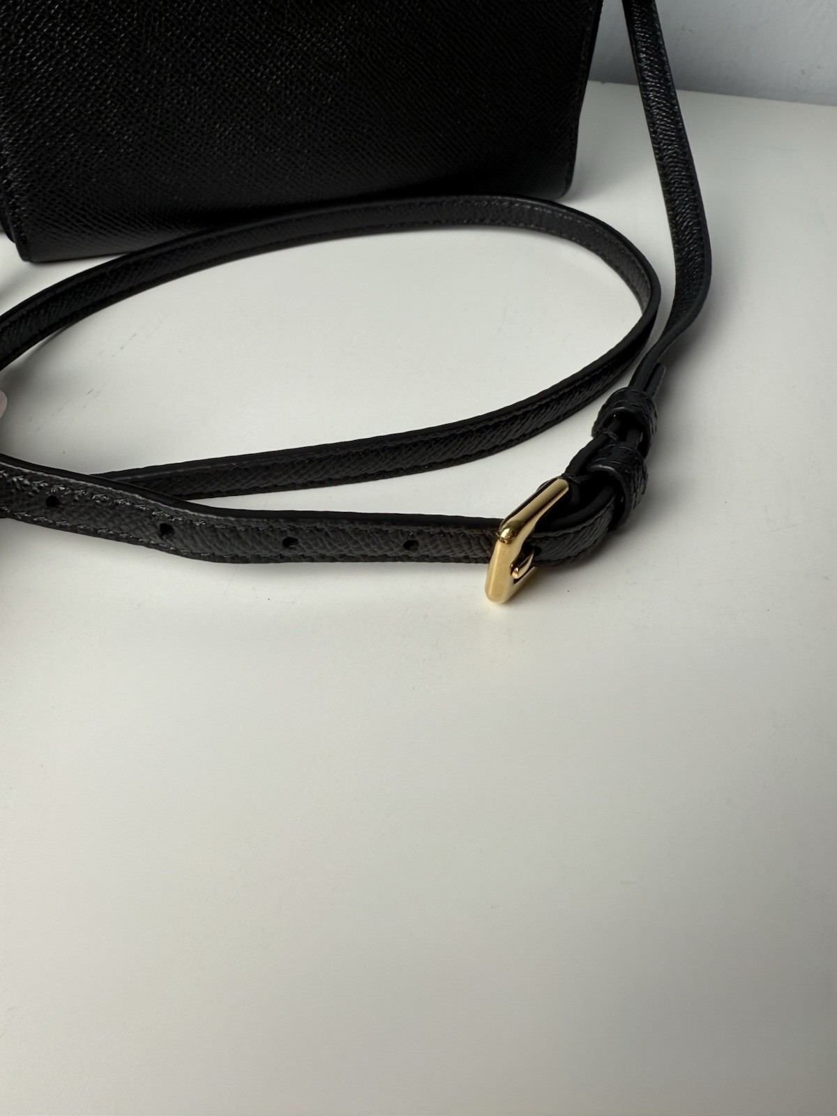 CHRISTIAN DIOR Grained Calfskin Caro Double Pouch Black
