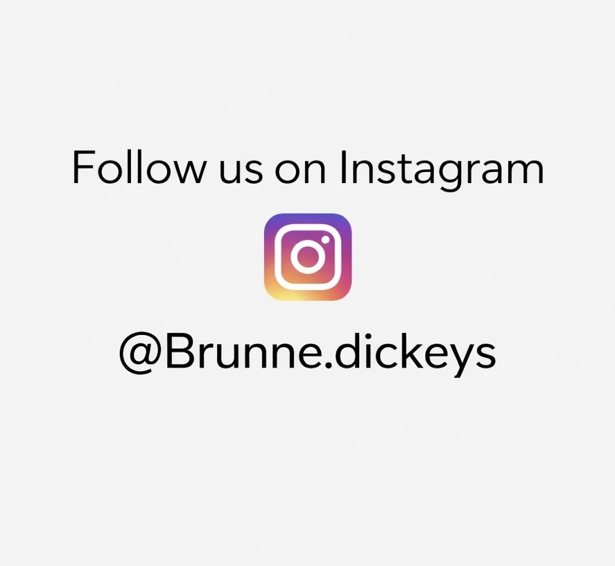 Set Of 2 Brunne Denim DICKEY Insert Compatible with VERONICA BEARD Blazer 00-14