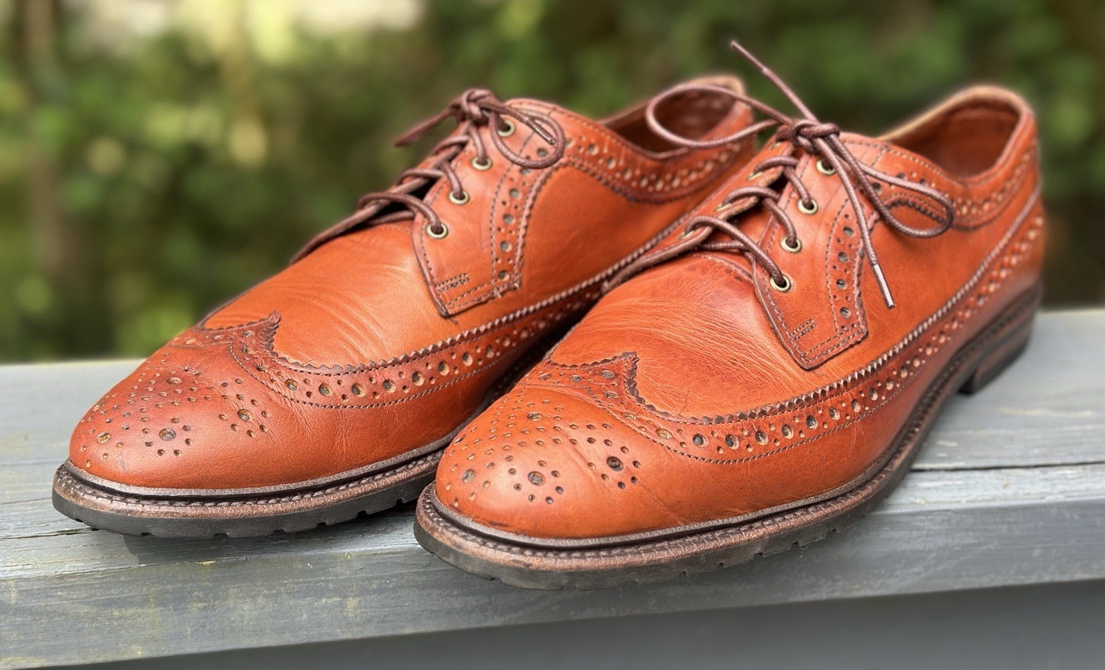 Allen Edmonds Aberdeen Brown Leather Wingtip Brogue Longwing Oxford 10.5D