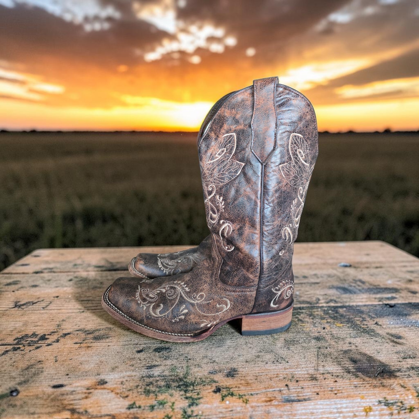 Circle G Women’s 10 M Dragonfly Embroidered Cowgirl Boot – Square Toe – L5079