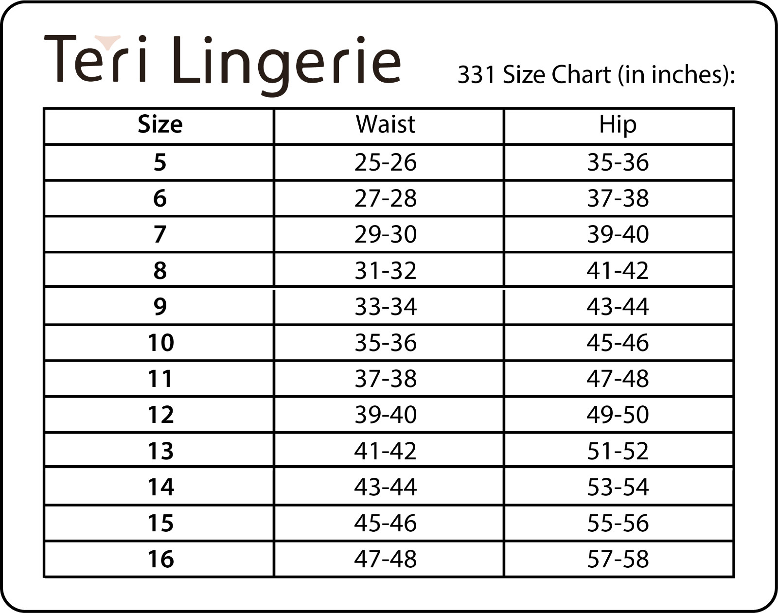 Women’s Classic, Nylon, Full Coverage Brief Panty 4 Pack by Teri Lingerie