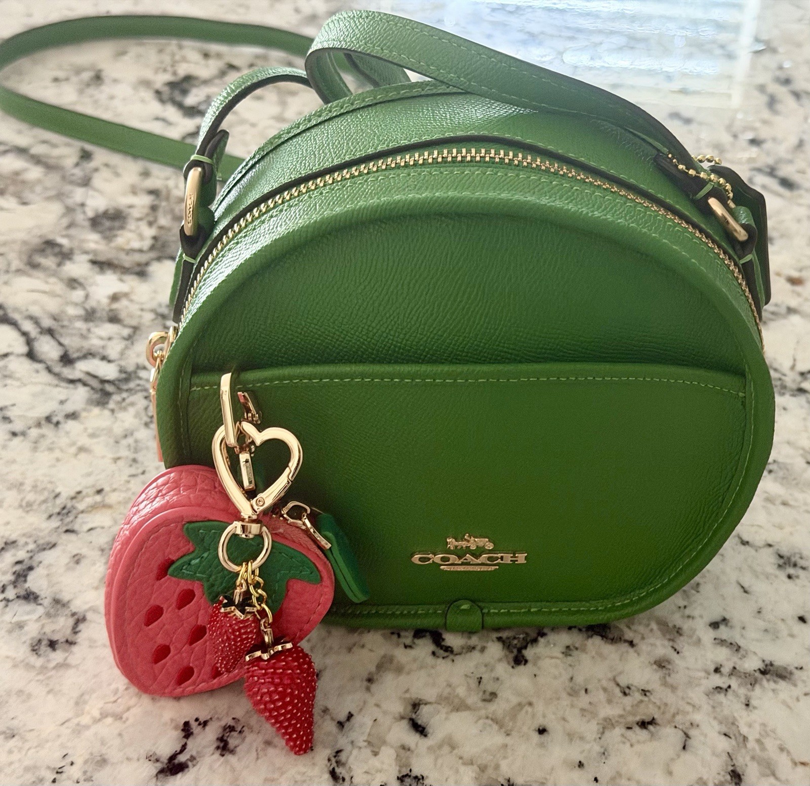 Coach Canteen Crossbody Bag Pebble Leather Gold/Kelly Green NWOT 75516