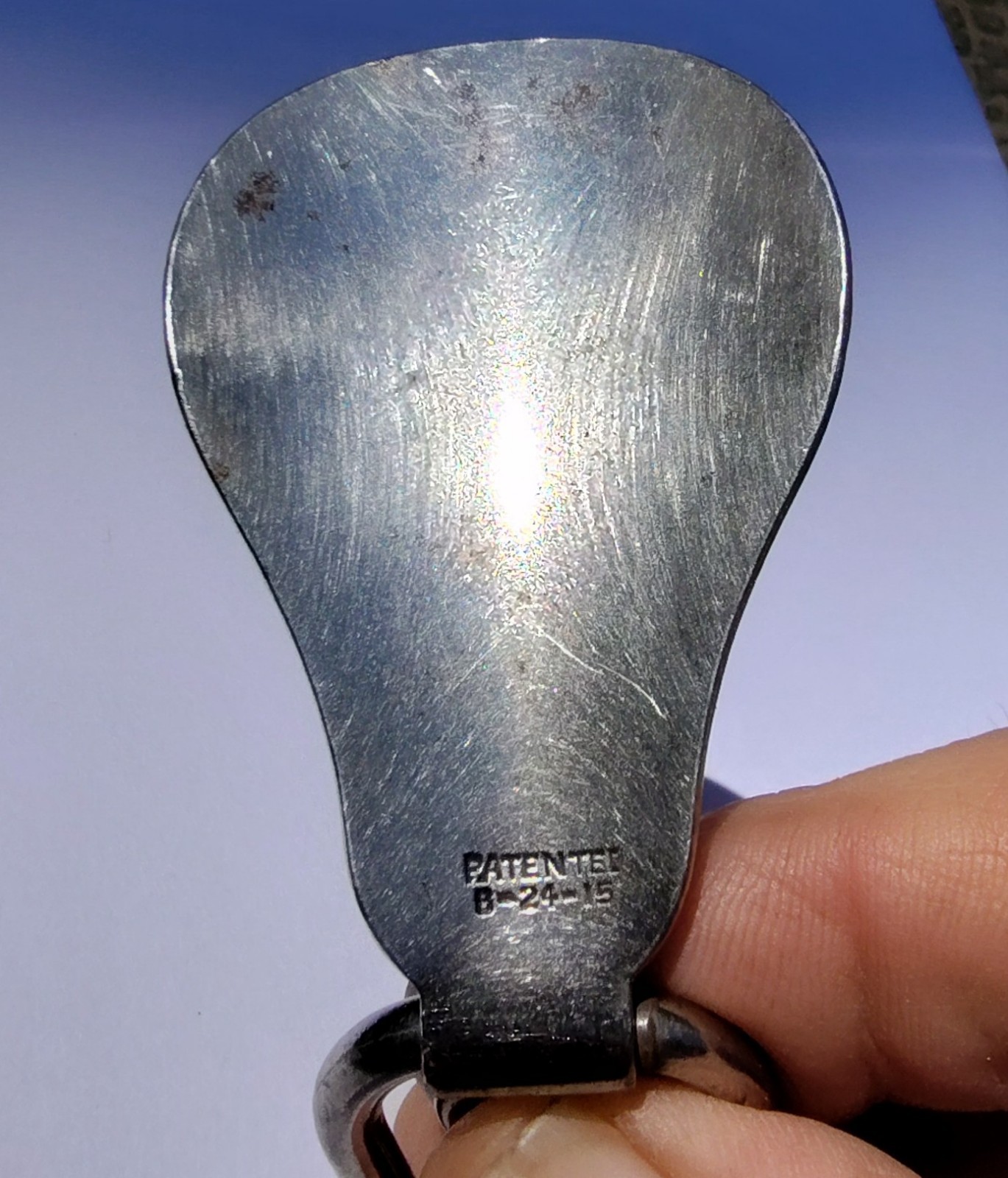 Vintage Shoe Horn with Button Hook