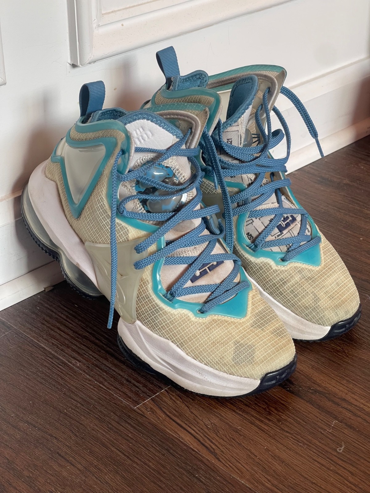 Space Jam x Nike LeBron 19 5.5