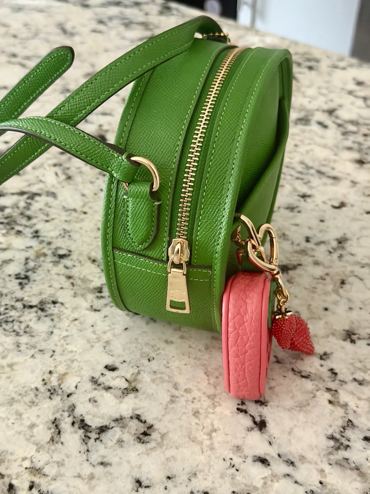 Coach Canteen Crossbody Bag Pebble Leather Gold/Kelly Green NWOT 75516