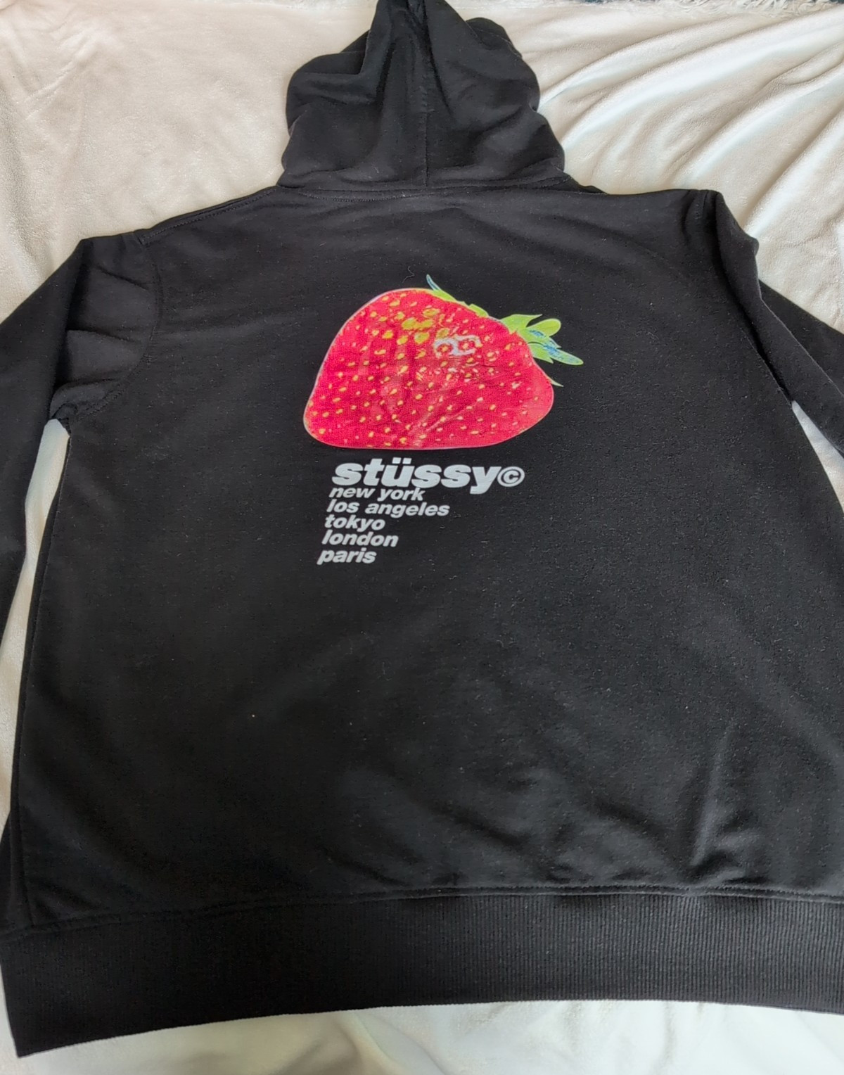 Authentic Stüssy “Strawberry” Graphic Pullover Hoodie (Spring/Summer 2022) Large