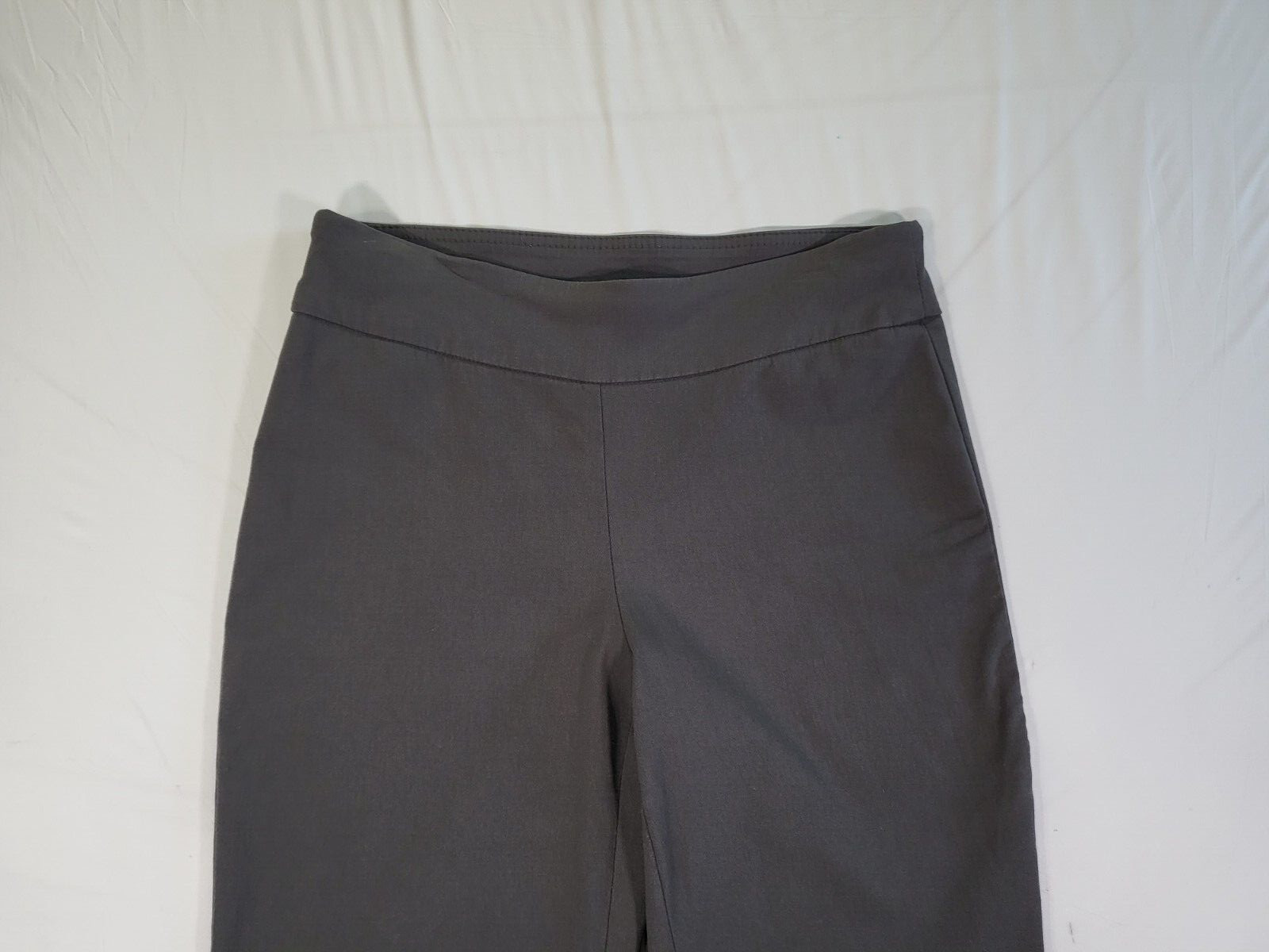 Roz & Ali Womens Pants Pull On Size 4 Stretch W/ Tummy Panel Gray (No Pockets)