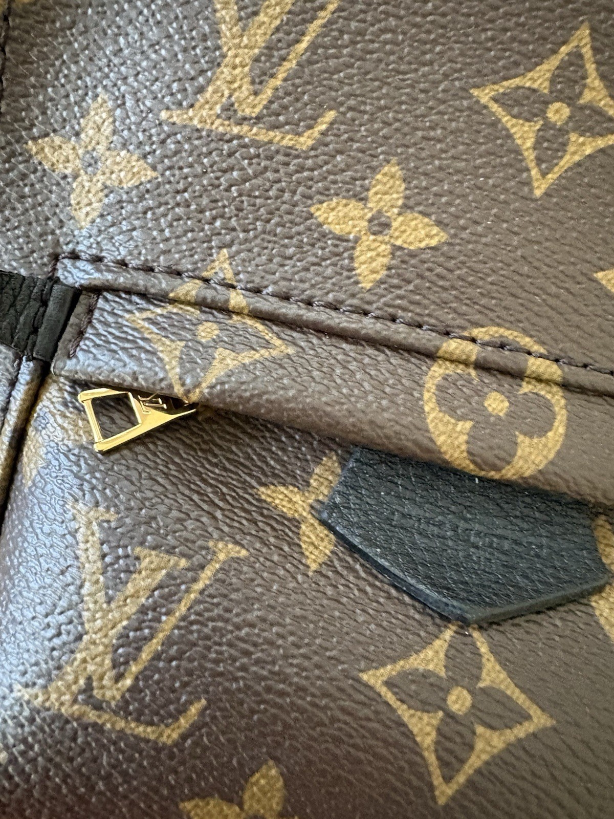 Louis Vuitton Palm Springs Backpack Mini Brown Canvas Monogram