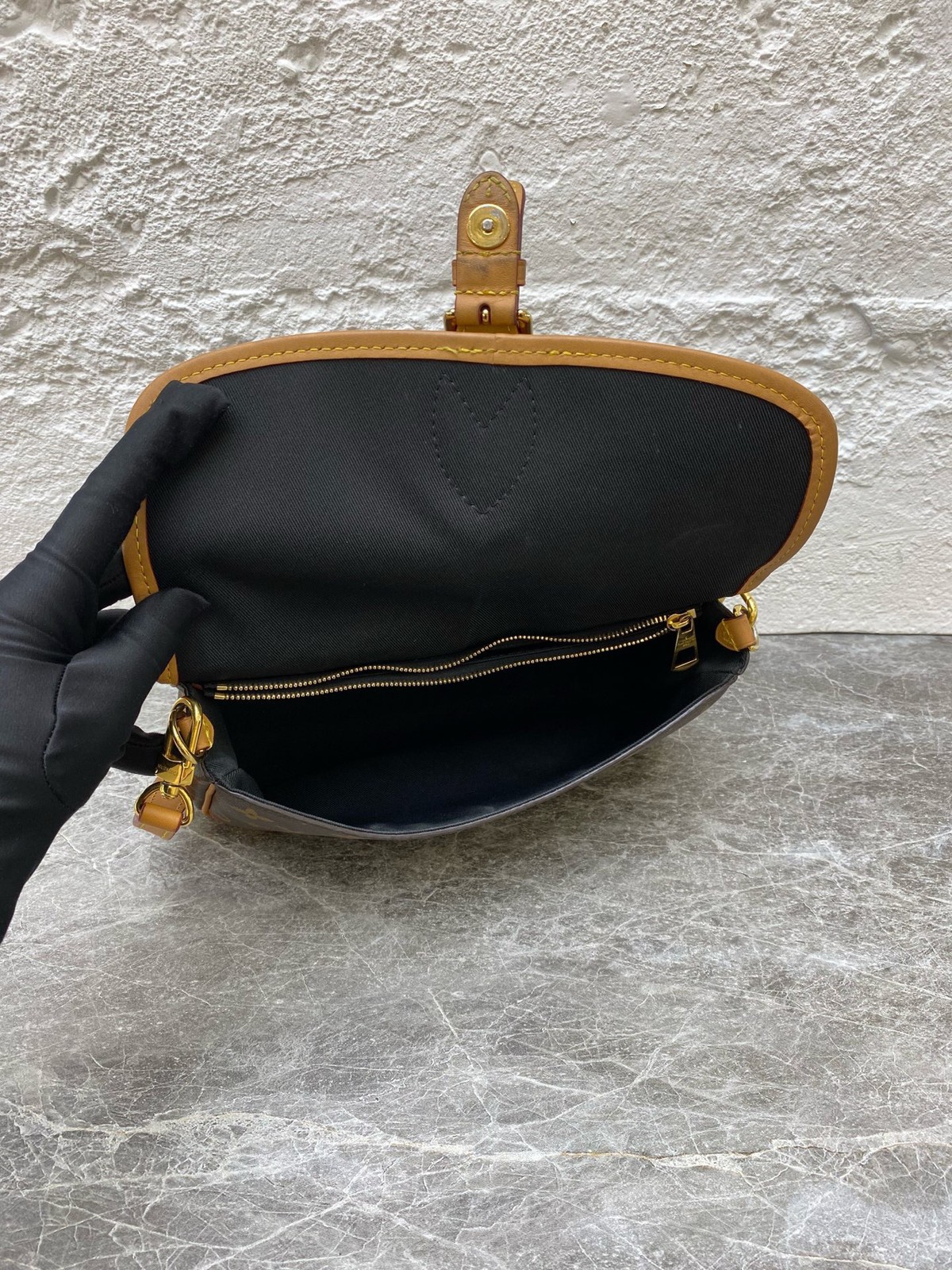 Louis Vuitton Diane presbyterian underarm baguette chip (24 × 15 × 9)cm