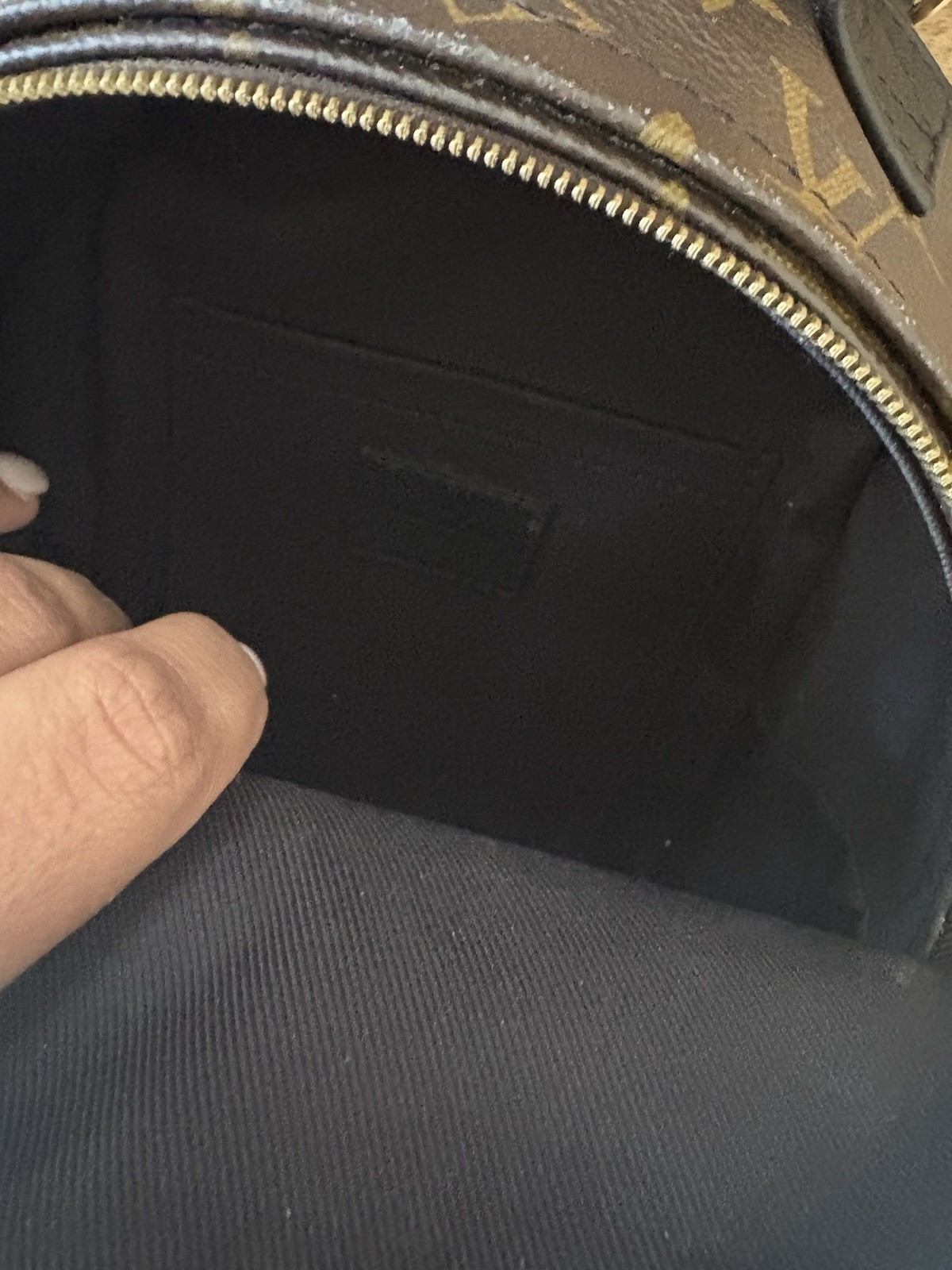 Louis Vuitton Palm Springs Backpack Mini Brown Canvas Monogram