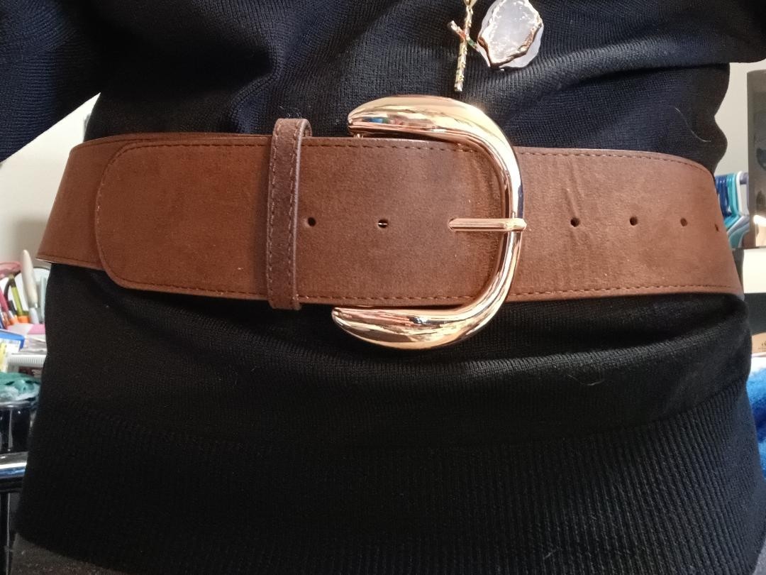 WOMEN BROWN MATTE SUEDE BELT GOLDEN BUCKLE Size M belt length is 43 in NEW