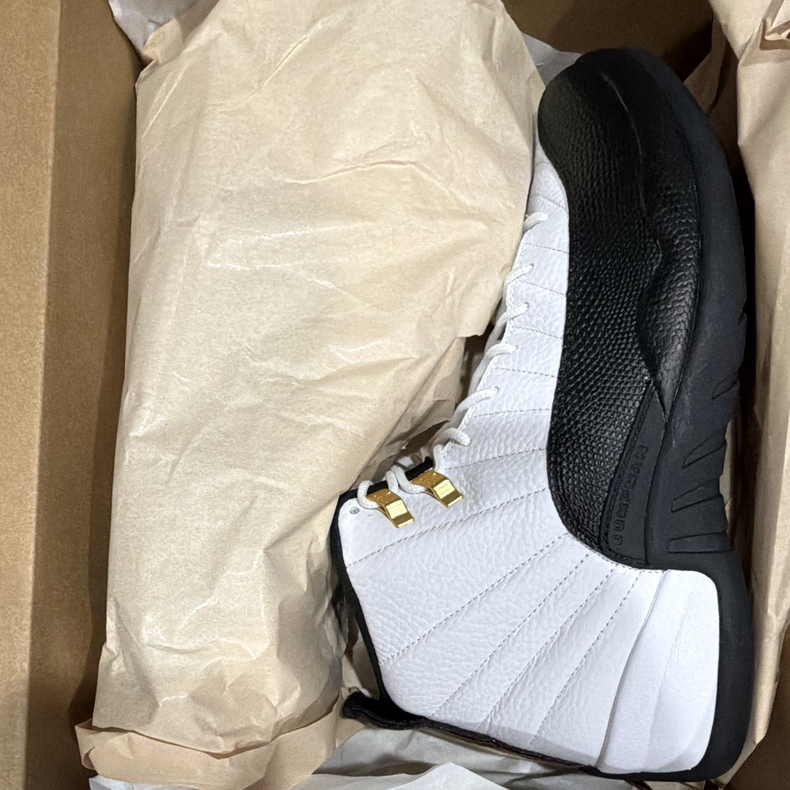 2025 Air Jordan 12 Retro Taxi Size 12
