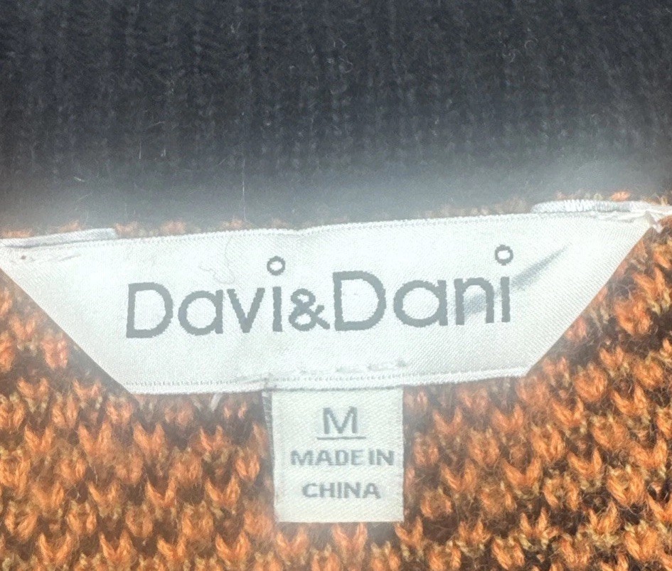 Davi & Dani Color Block Ombré Animal Print V Neck Sweater Sz M Art To Wear