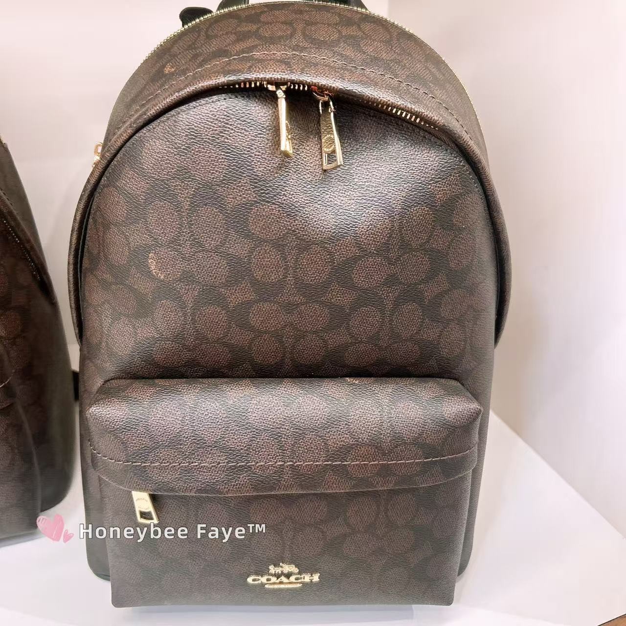 NWT Coach Taylor Small Backpack In Signature Canvas CDW76/CDW78/CEF46/CEF27