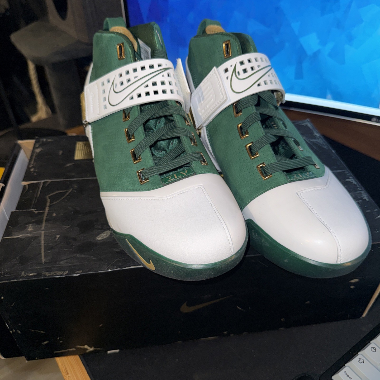 Size 10 – Nike Zoom LeBron 5 Birthday