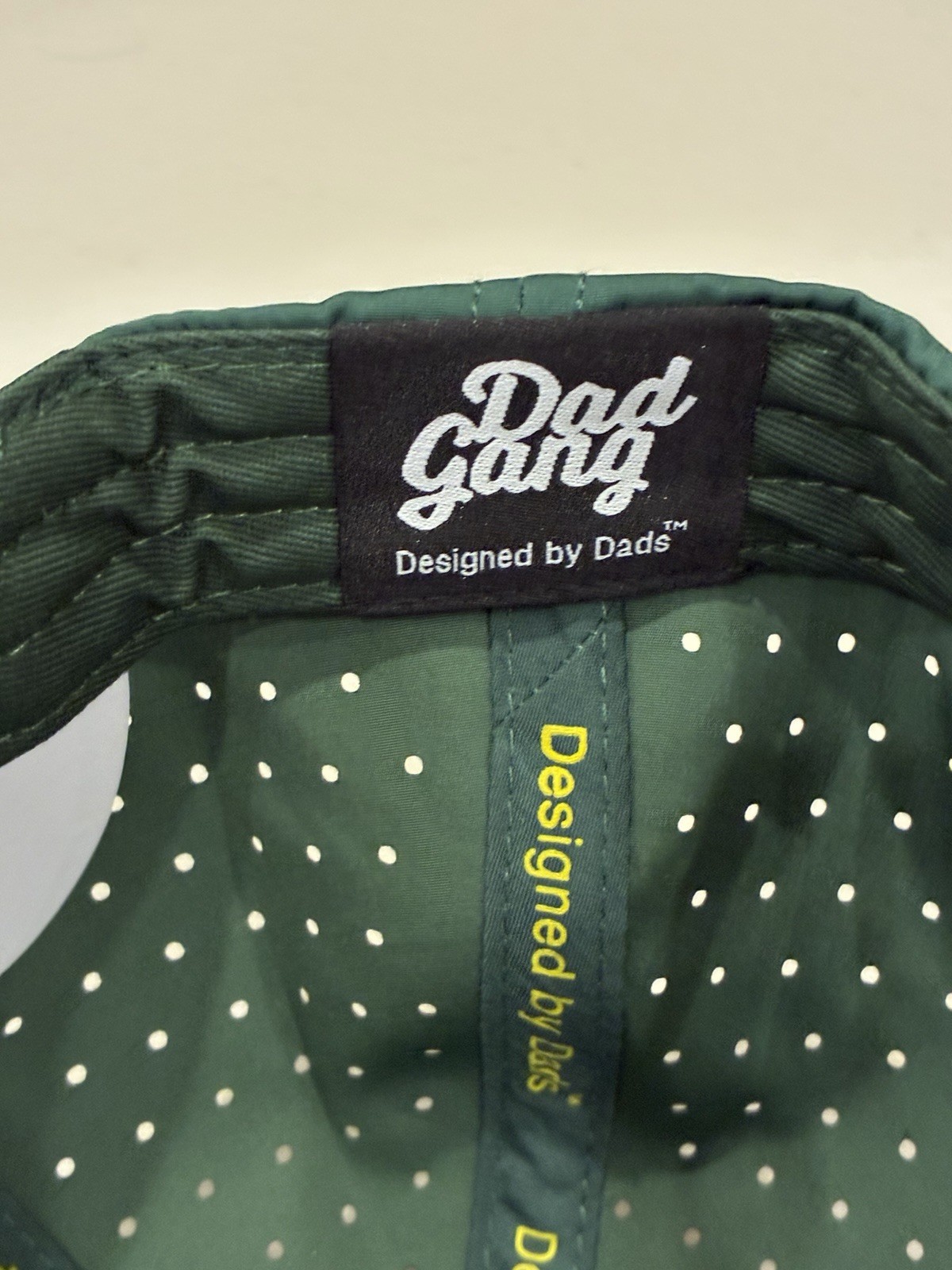 NWT Dad Gang Fairway SnapBack Golf Hat With Tee Green