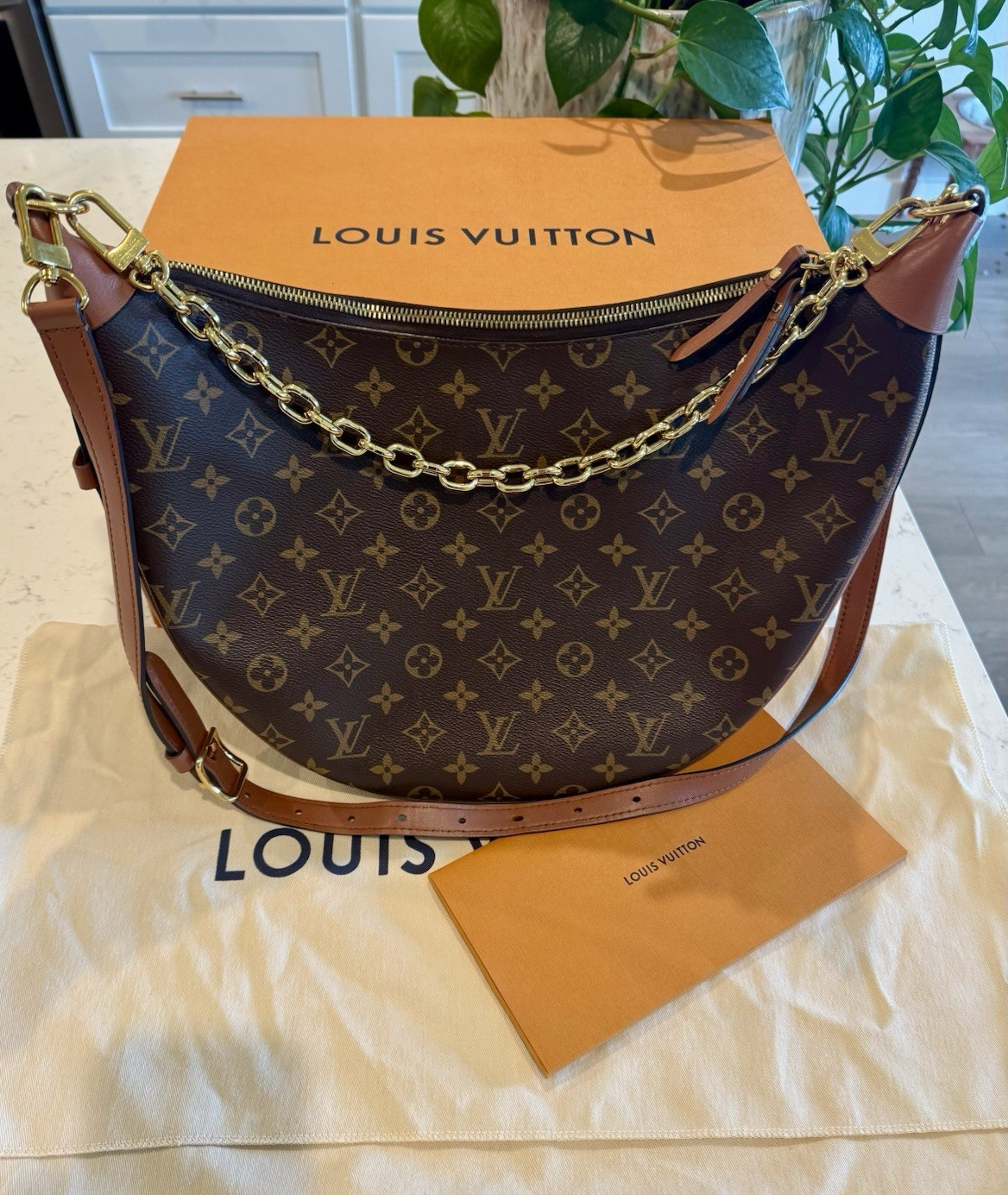 Louis Vuitton Monogram Loop Hobo canvas (M46311)