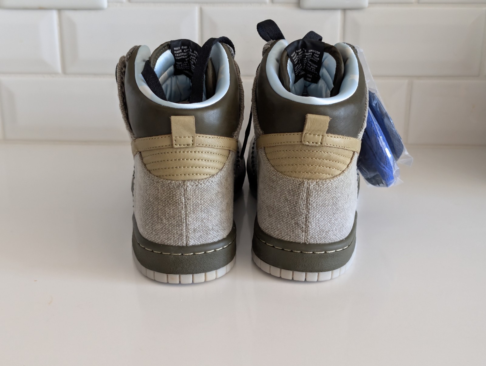 Size 10.5 – Nike Dunk High Coraline
