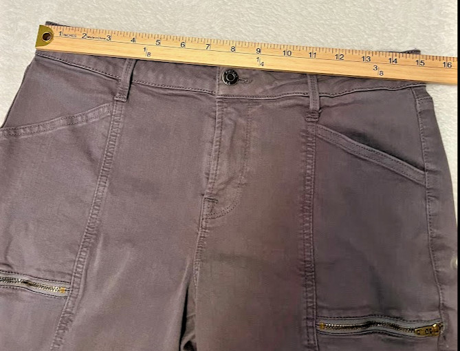 PISTOLA Hannah Cargo Skinny Pants Grey Size 29 Waist Utility Moto Zip Pockets