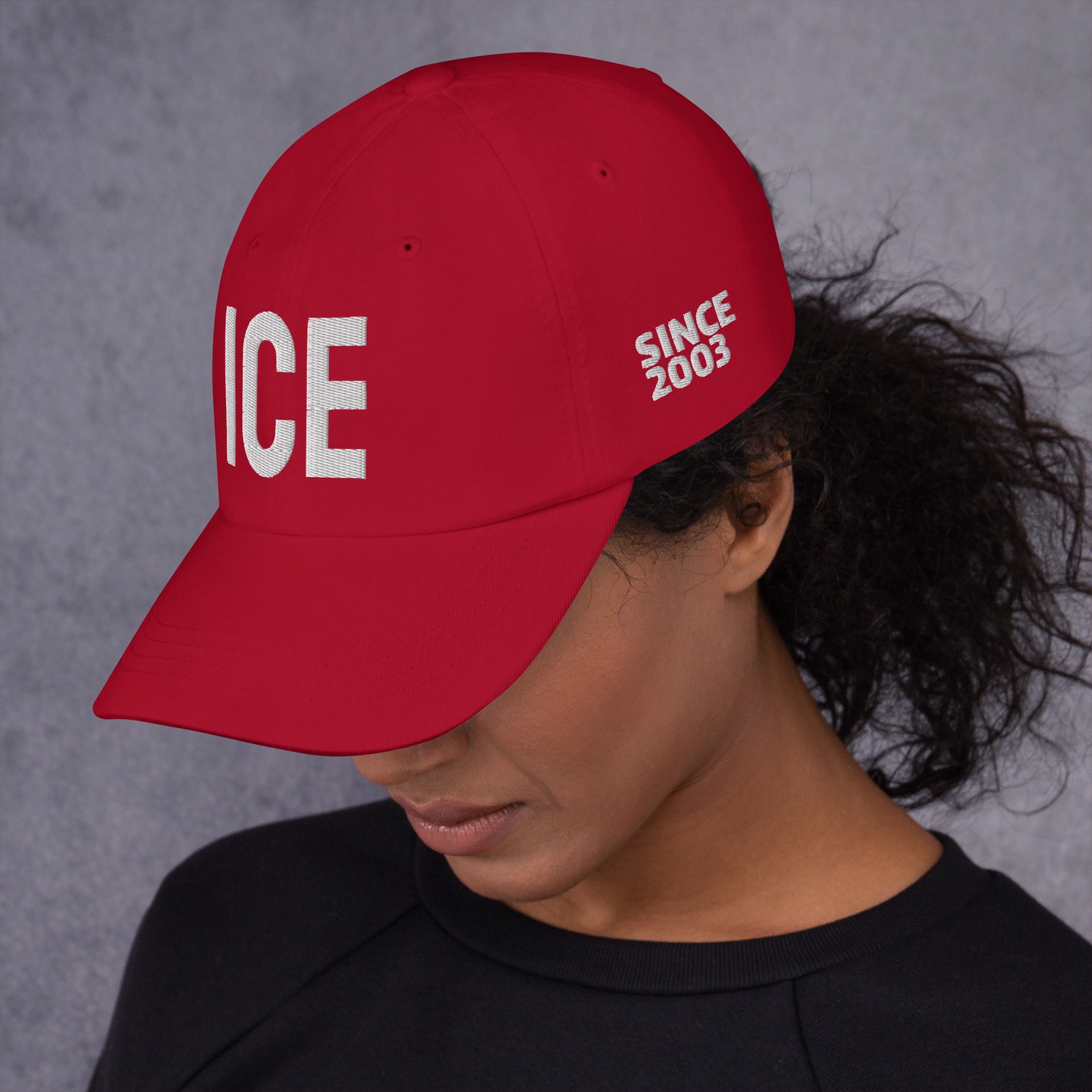 ICE Immigration Since 2003 Embroidered Dad hat/cap