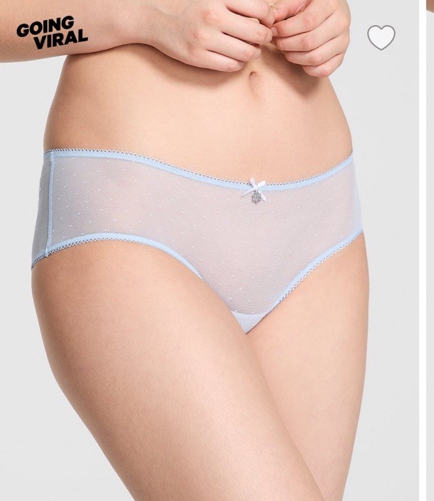 VICTORIA’S SECRET PINK Wink Cheeky Mesh Panty VS Icy Blue Mes XSMALL